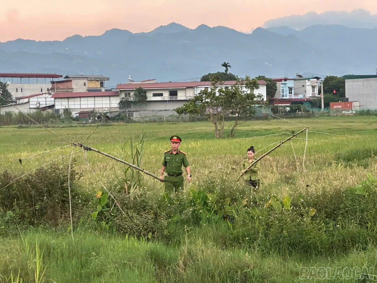 baolaocai-br_z7098908197549-0fac2dee49e70c17c747a432388d3891.jpg