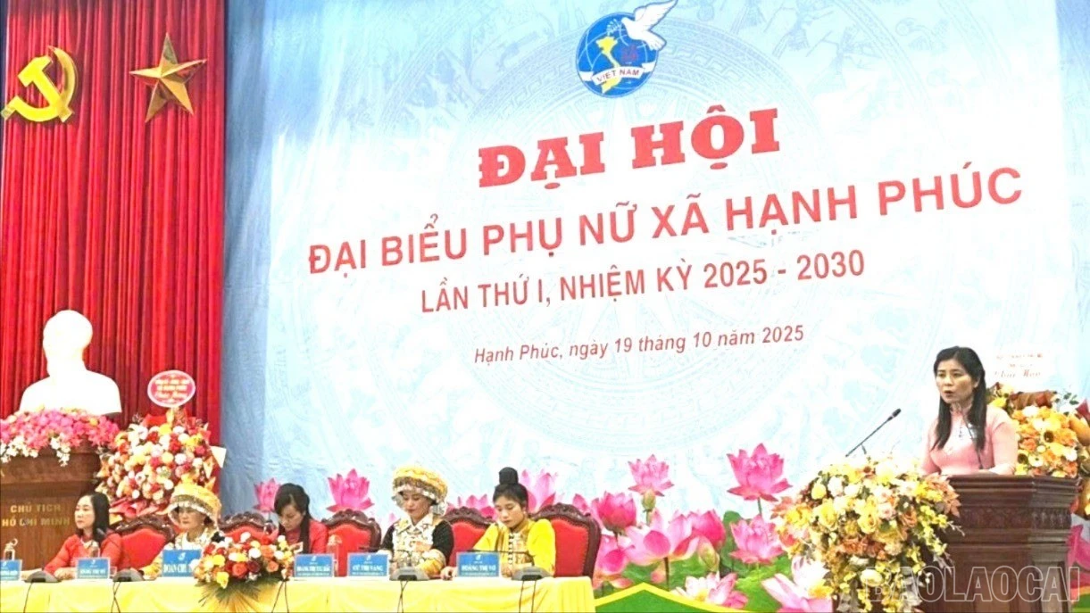 baolaocai-br_hp1-2230.jpg
