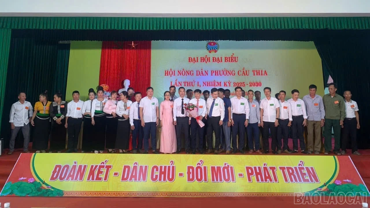 baolaocai-br_ramat1-1-549.jpg