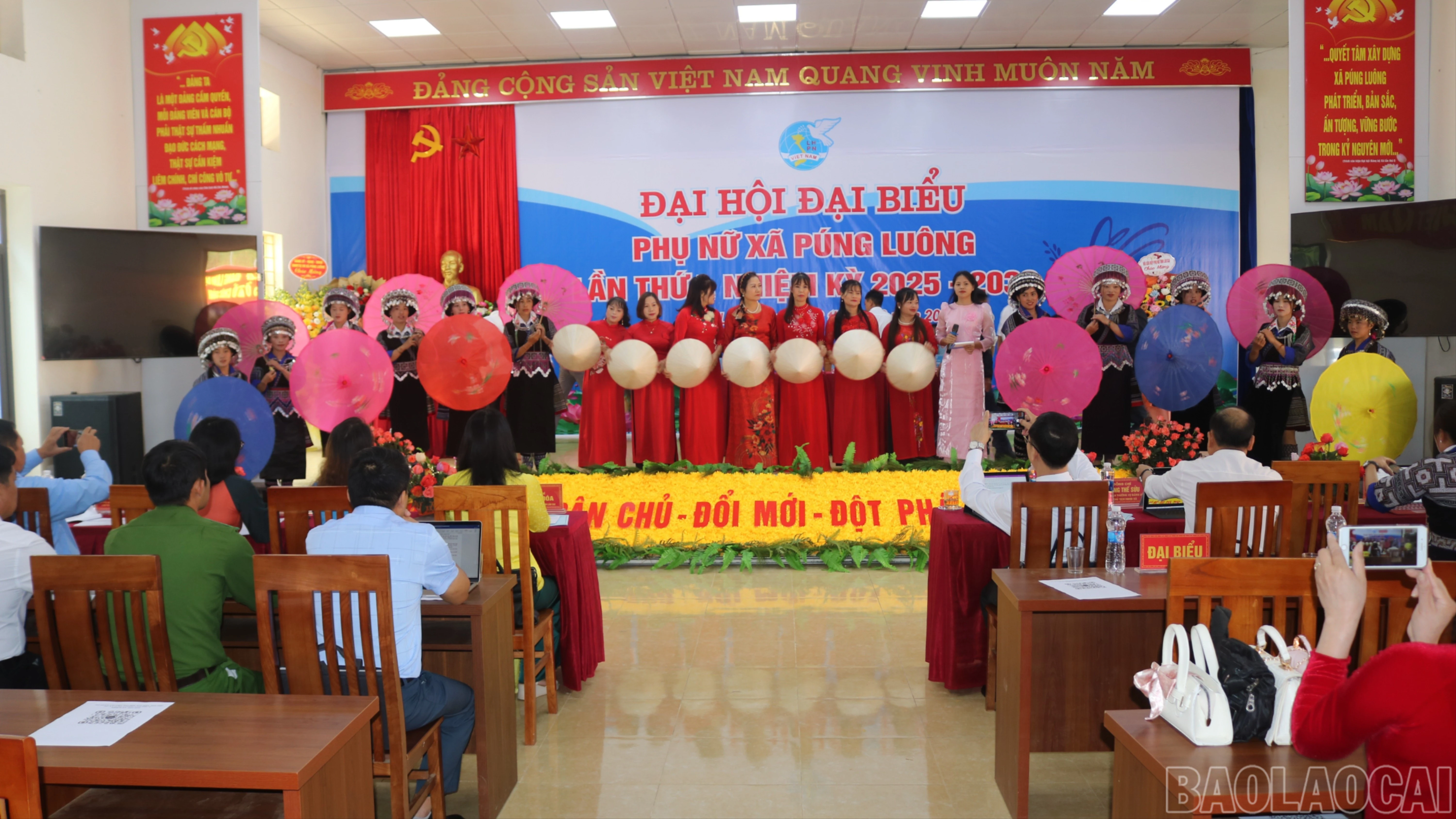 baolaocai-br_br-a-dh-1.jpg