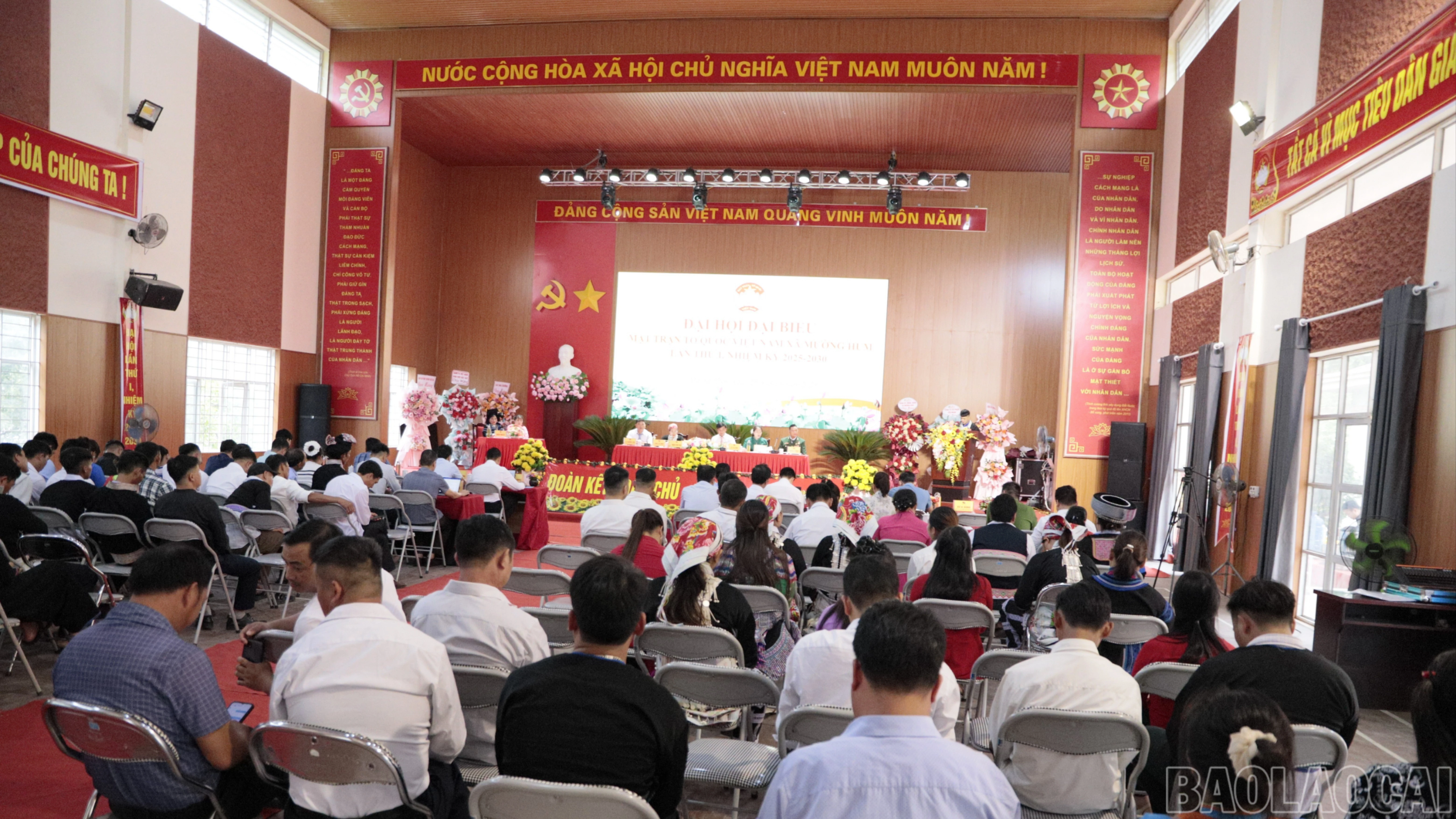 baolaocai-br_1-1742-7836.jpg