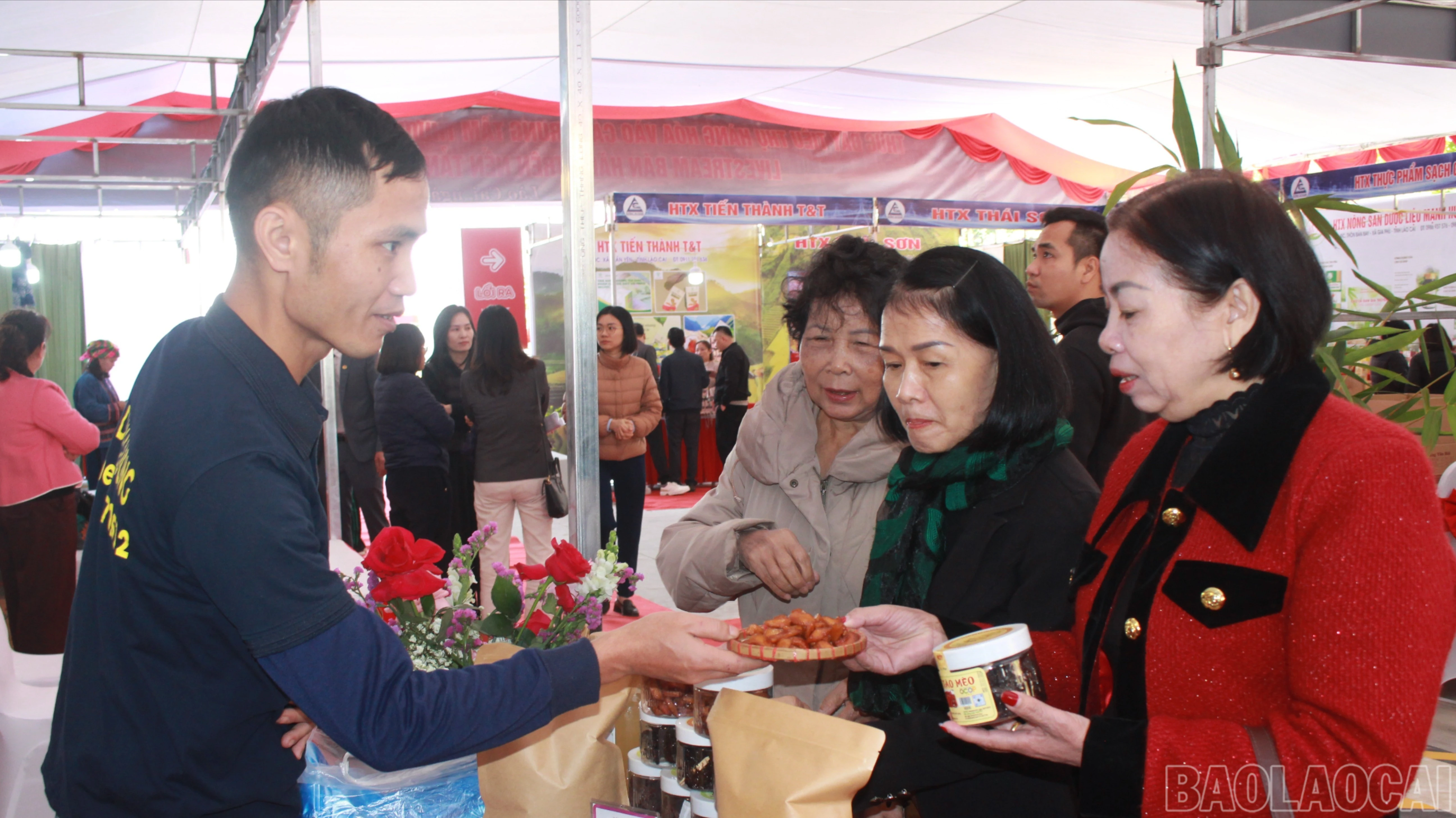 baolaocai-br_img-3106.jpg