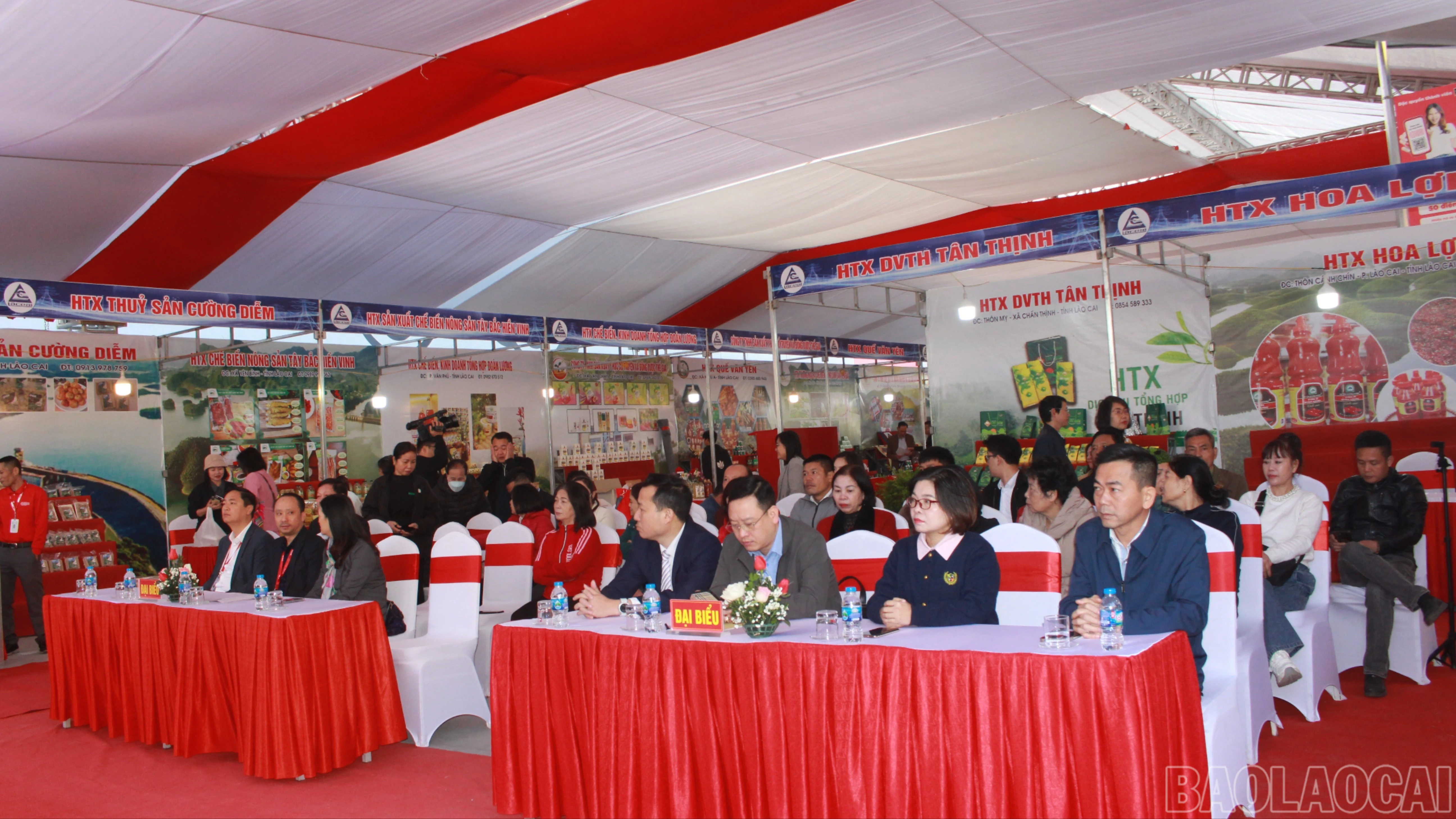 baolaocai-br_img-3080.jpg