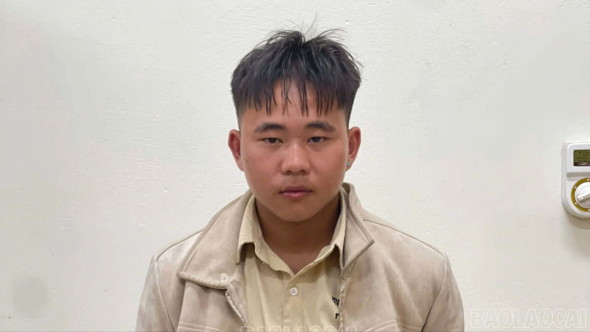 baolaocai-c-lu.jpg