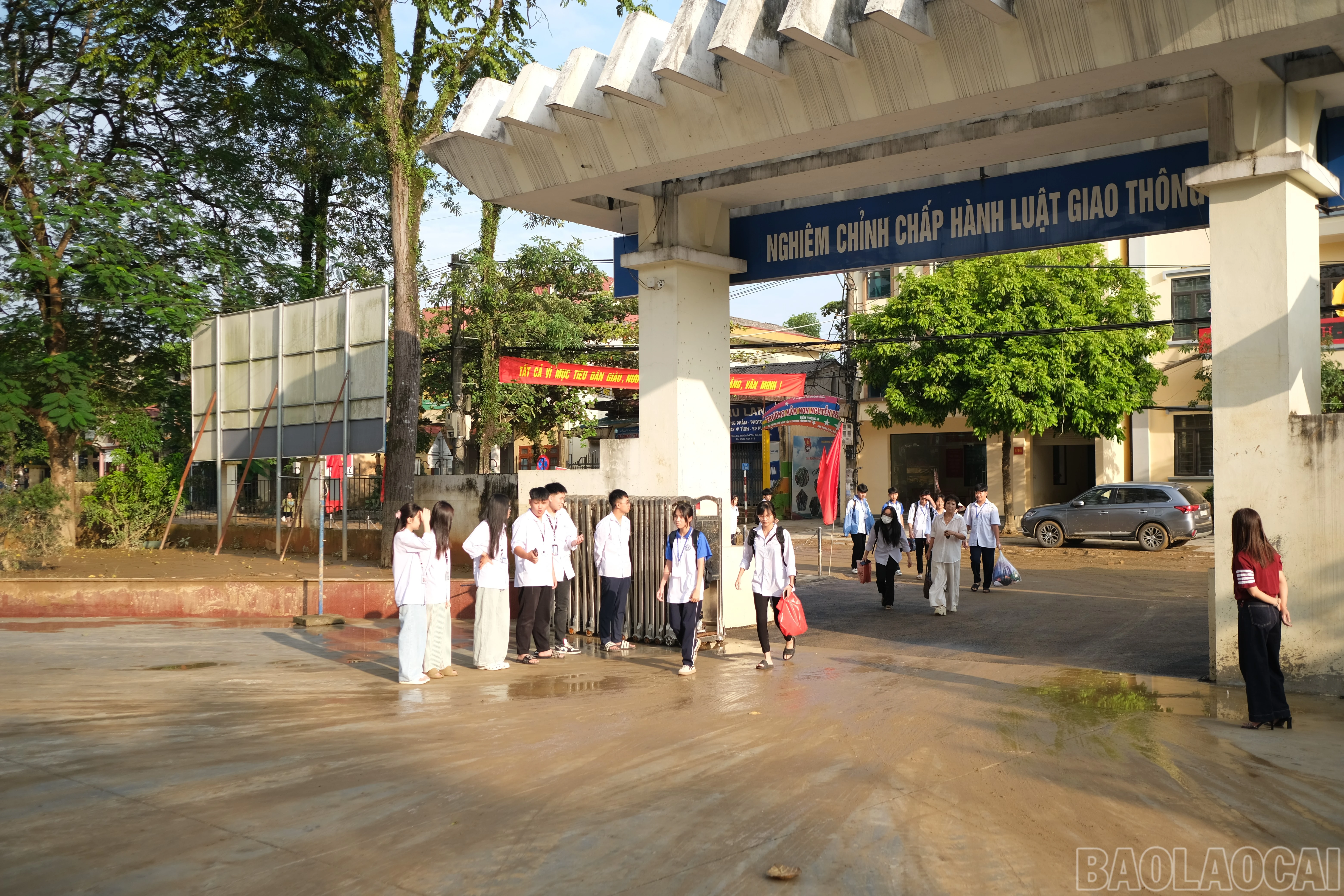 baolaocai-br_anh-3.jpg