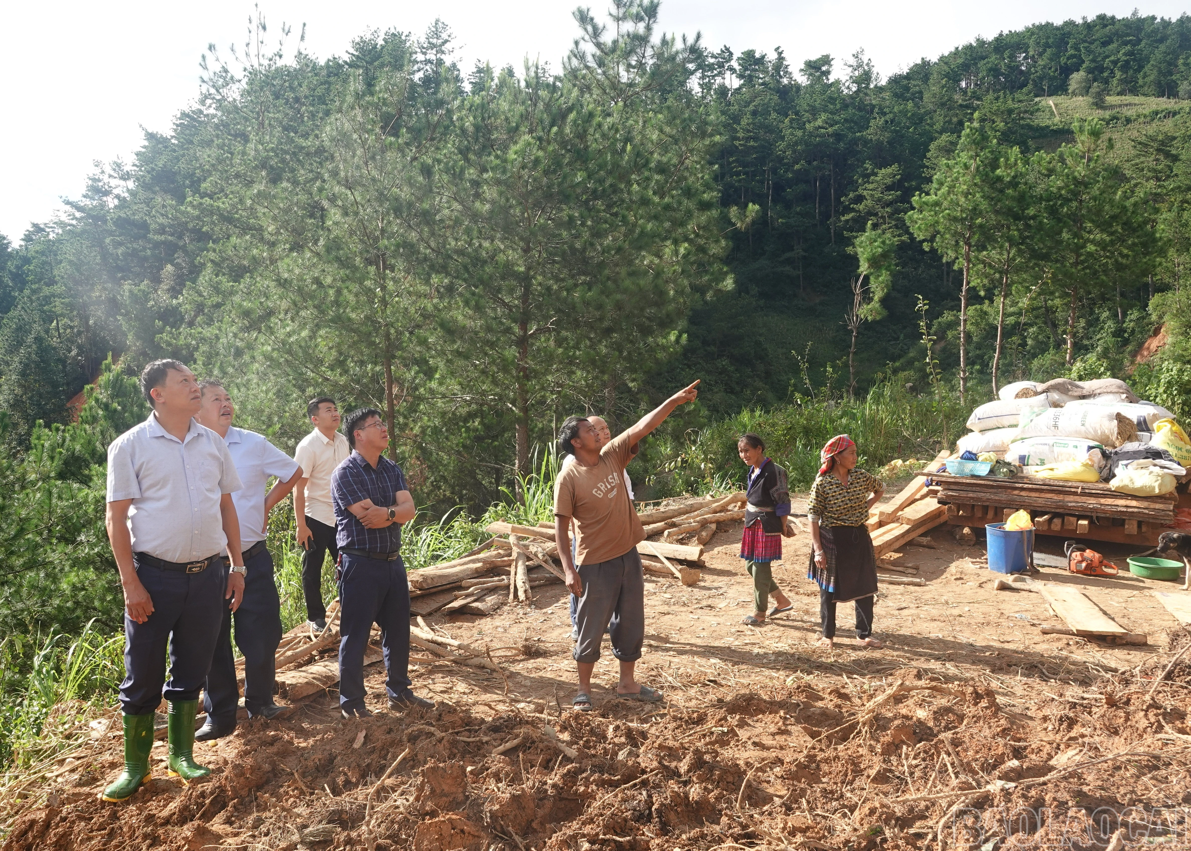 baolaocai-br_pungluong1.jpg