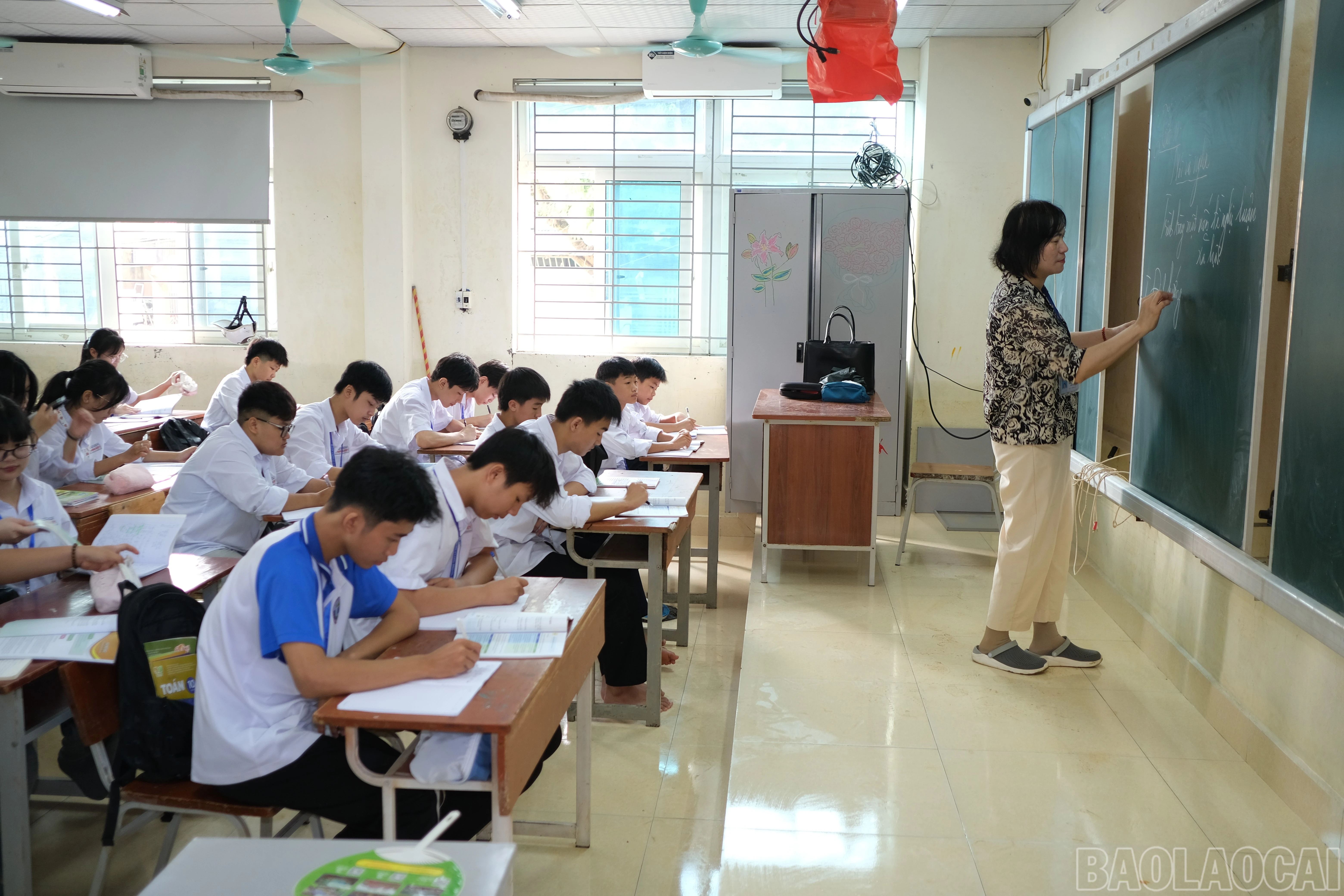 baolaocai-br_anh-4.jpg