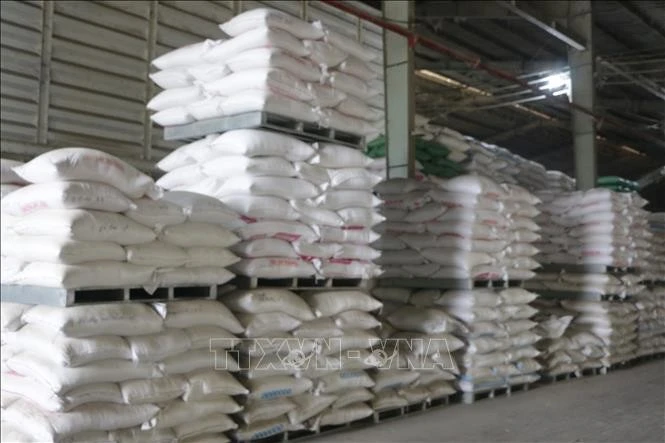 Kho gạo tại Công ty TNHH Hoàng Gia Nhật Quang chuẩn bị xuất khẩu.