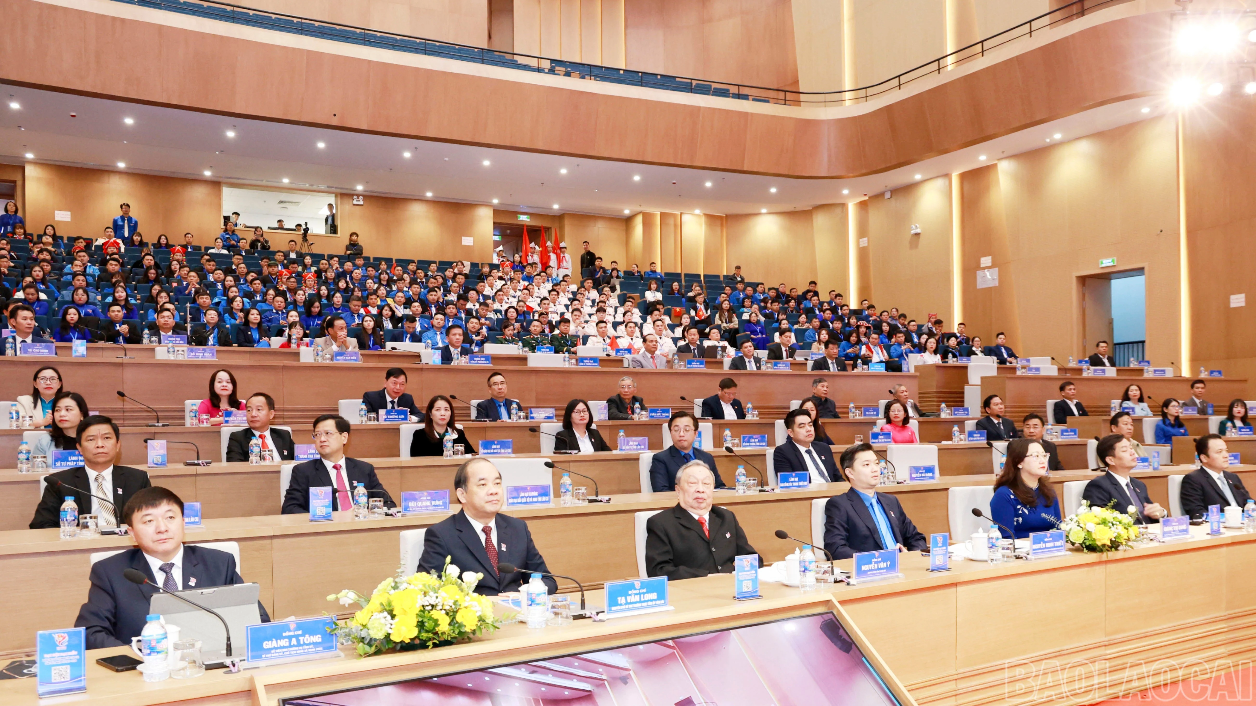 baolaocai-br_060a3847.jpg