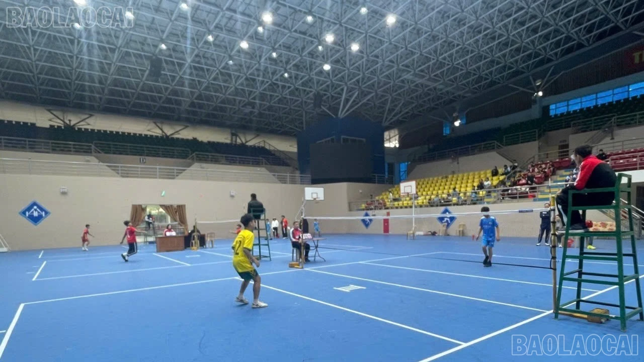 baolaocai-tl-1000030907.jpg