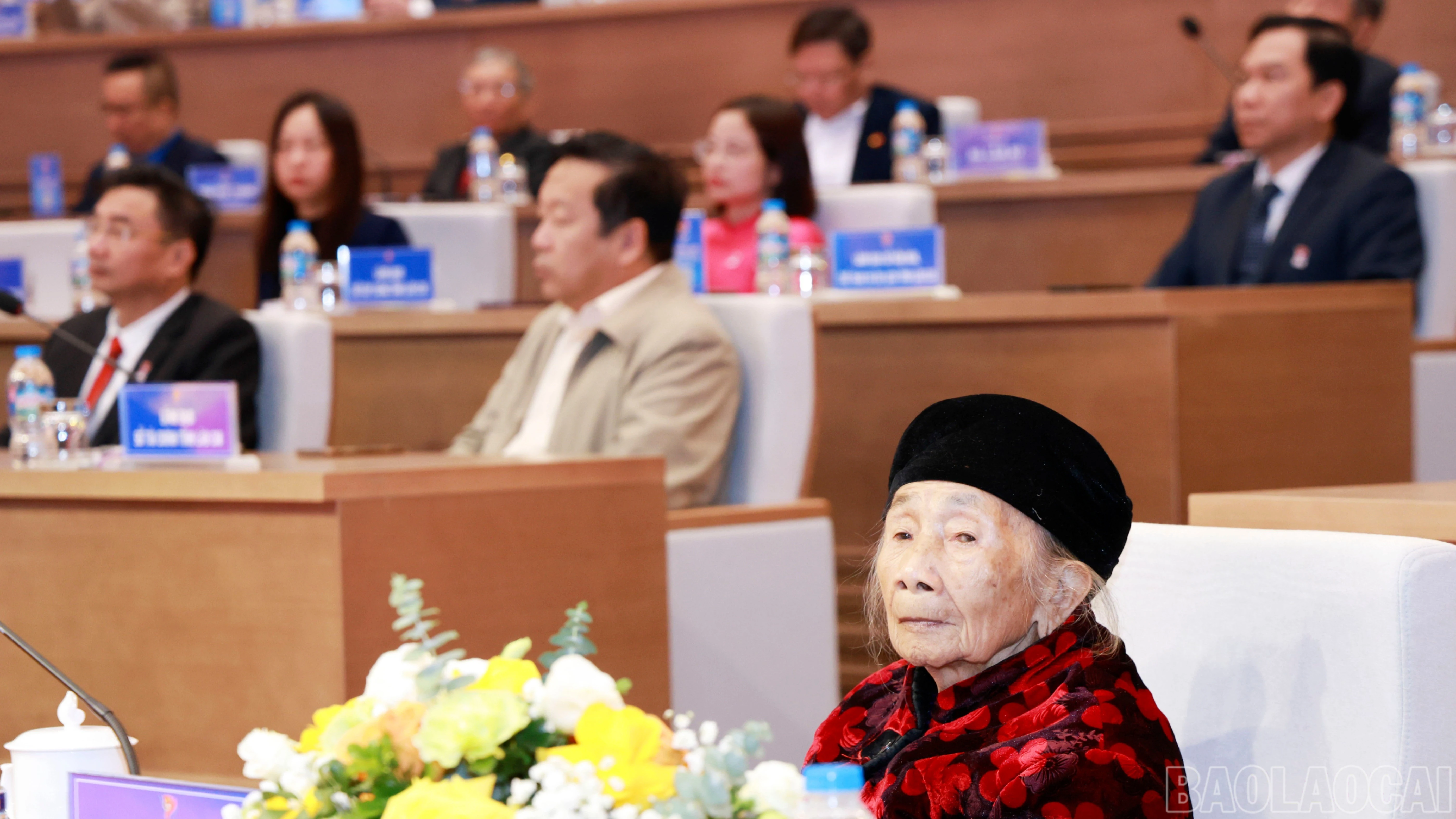 baolaocai-br_060a3865.jpg