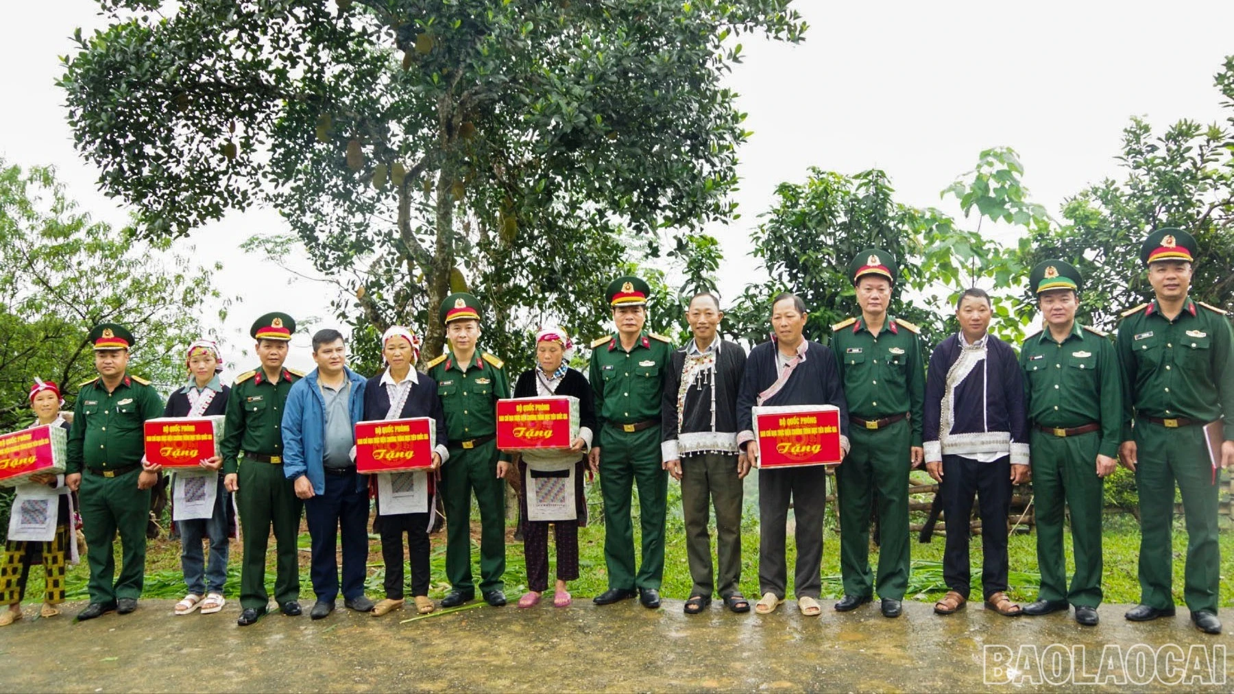 baolaocai-br-traoquadan.jpg