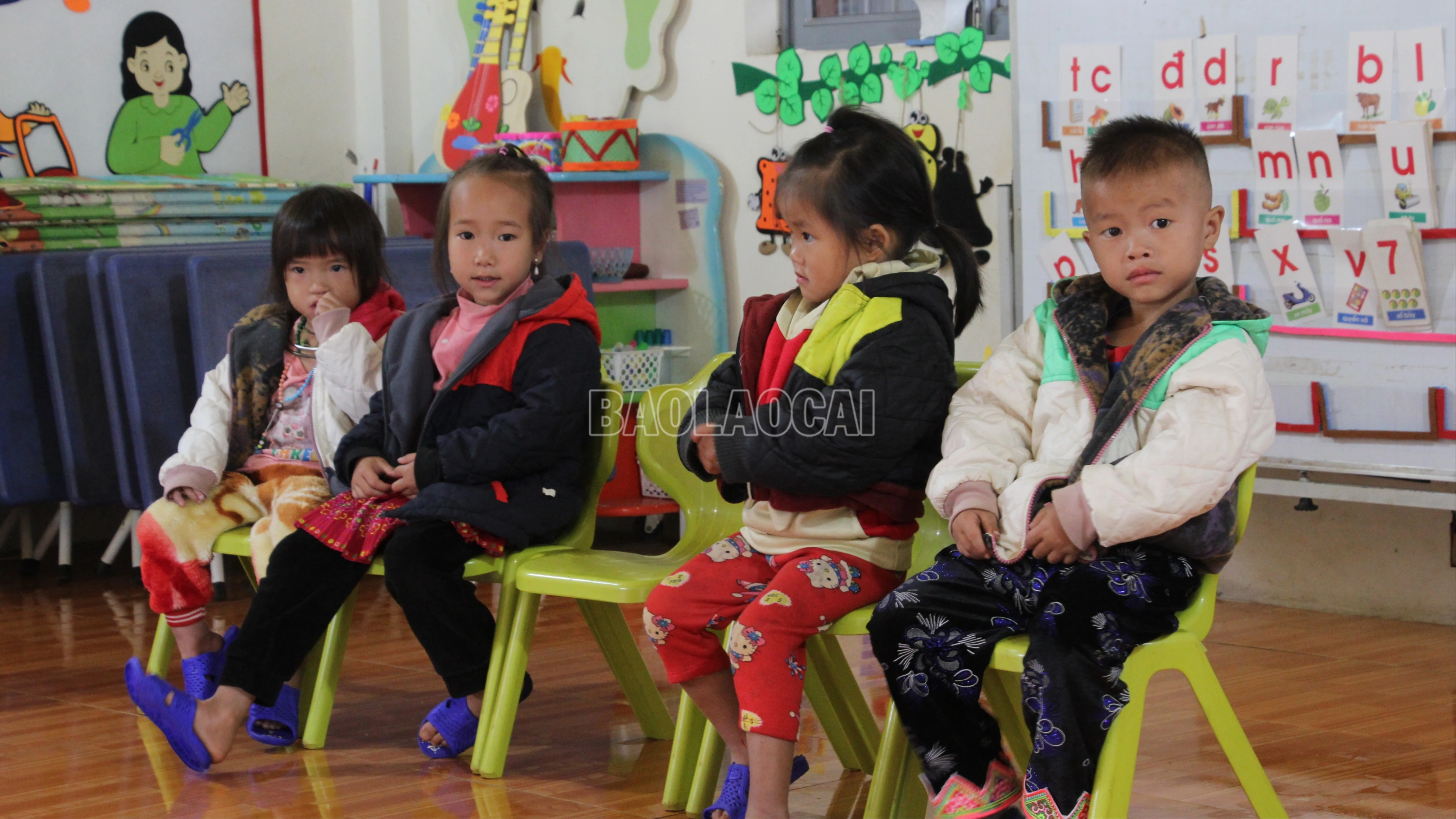 baolaocai-c_img-9789.jpg