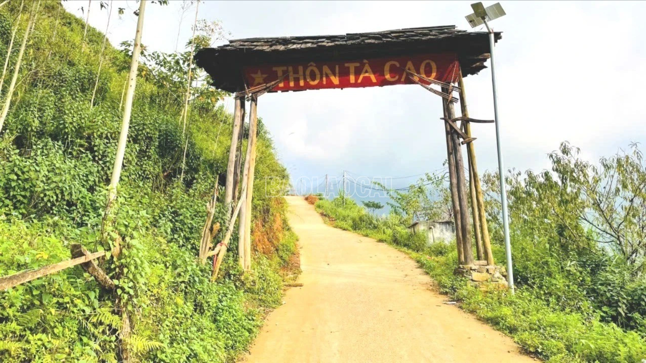 baolaocai-c_z7208763094474-36800aa9ff61727cd55731bc6df60823-6824.jpg