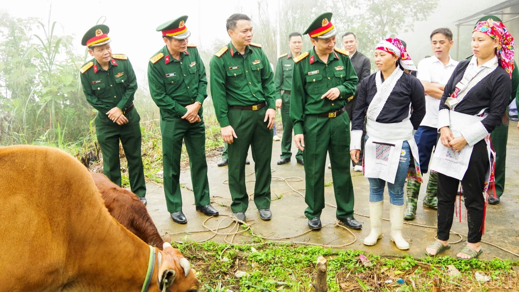 baolaocai-br_thammohinh-2648.jpg