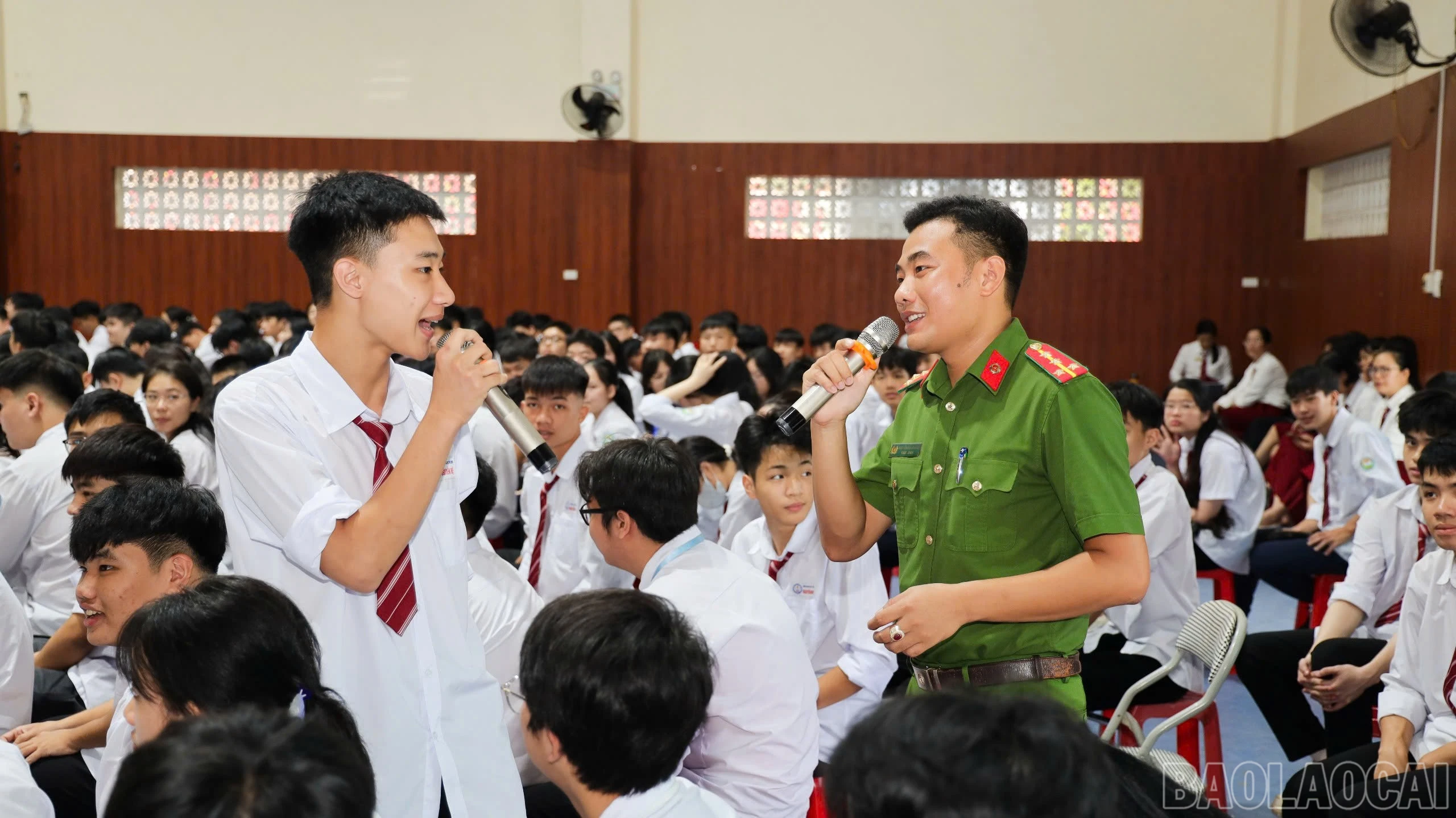 baolaocai-br_anh-4.jpg