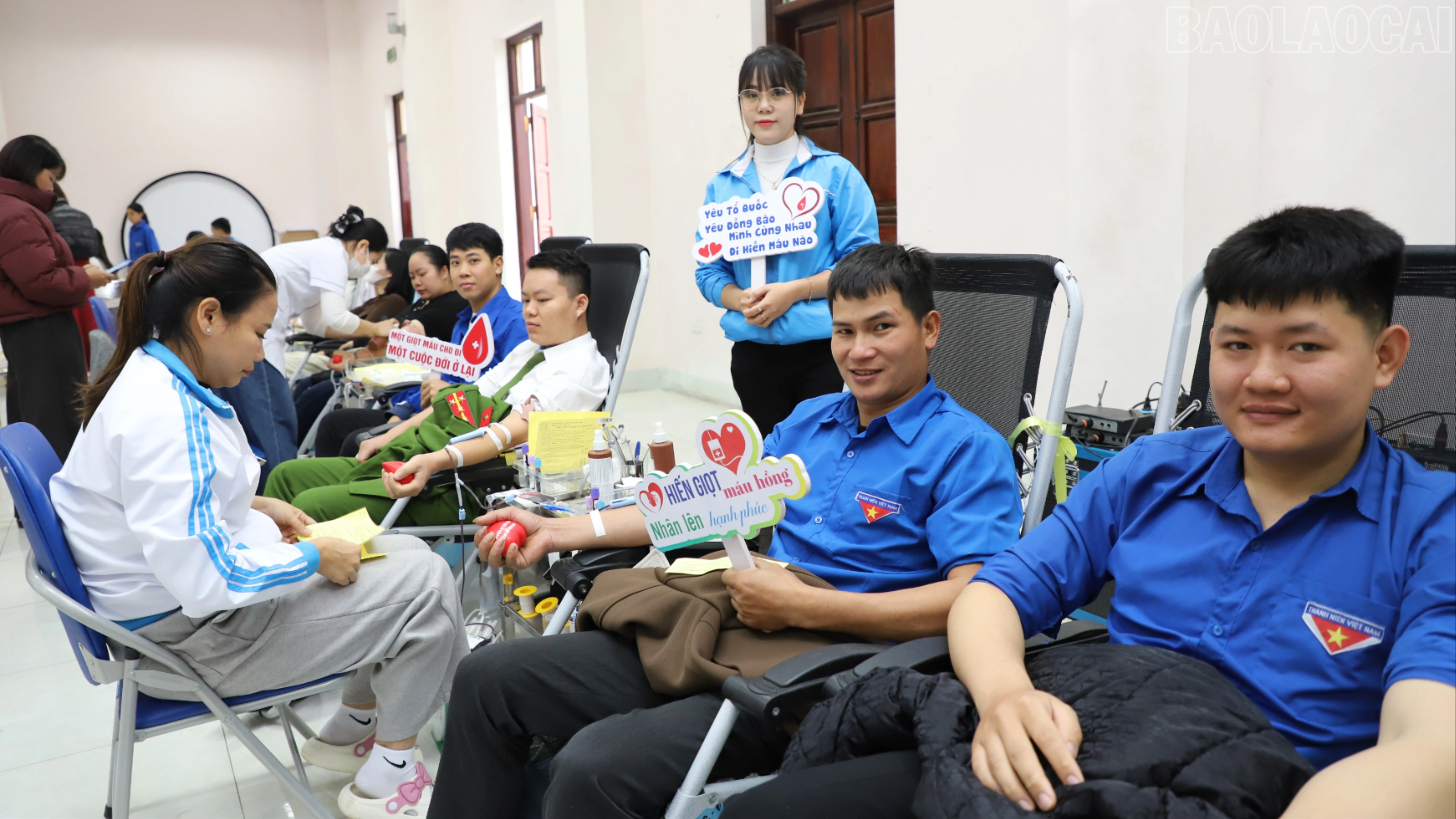 baolaocai-tr_img-2799-9041.jpg
