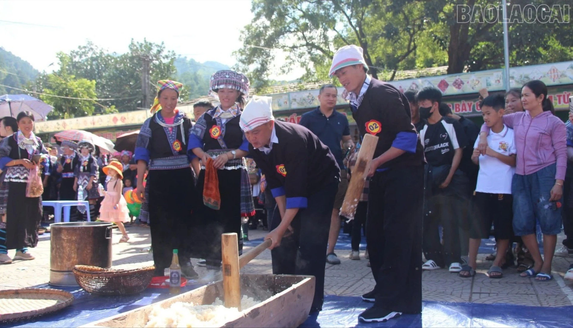 baolaocai-tr_img-2584-1242.jpg