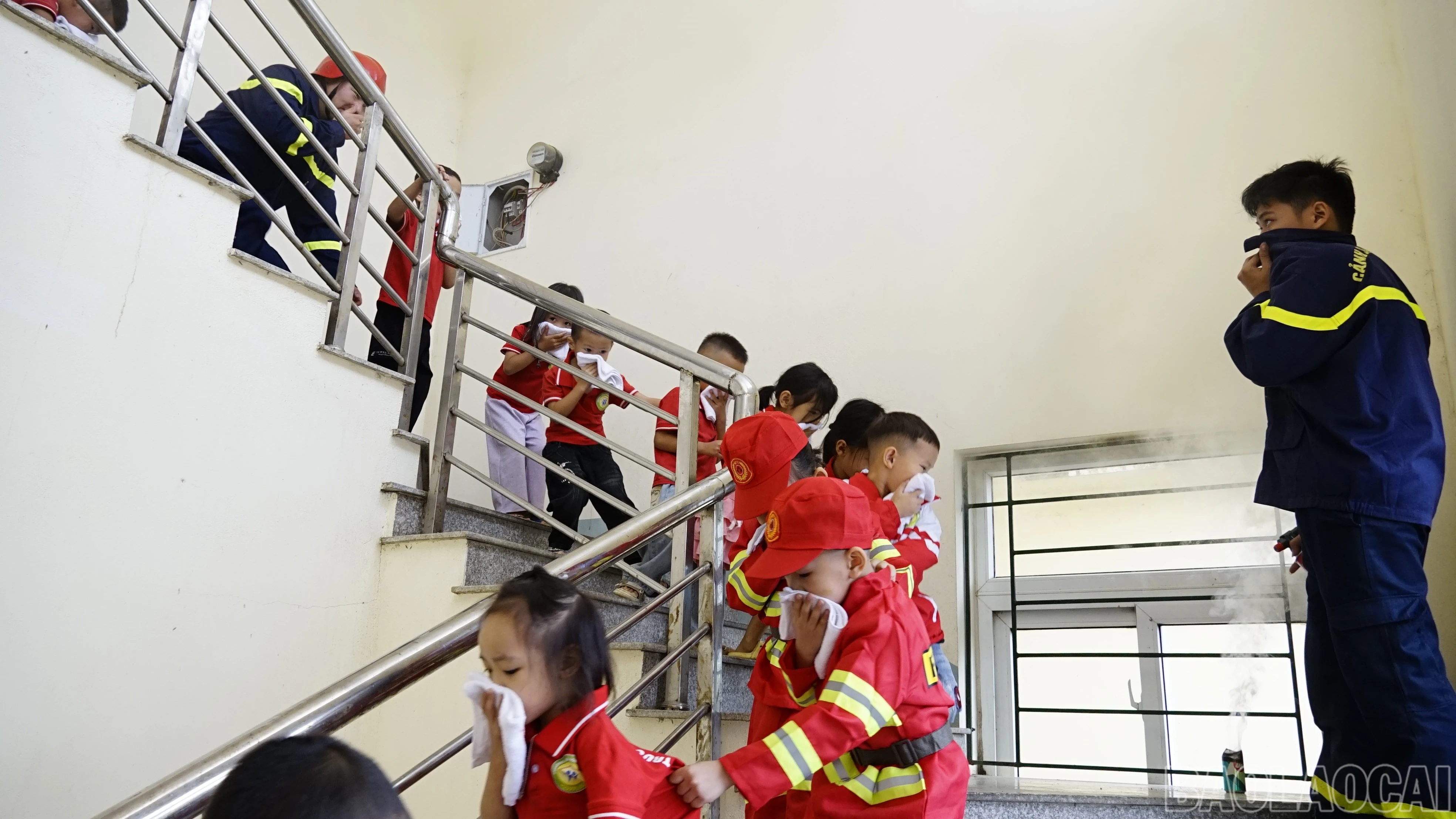 baolaocai-br_dsc3062.jpg