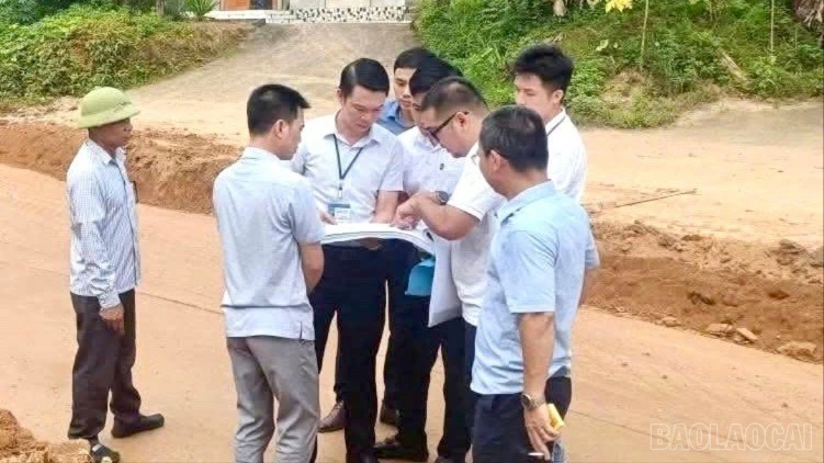 baolaocai-tr-z7342150396341-35def282f1600d02cad60e5448a78b83.jpg