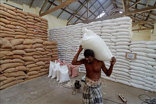 Công nhân vận chuyển gạo tại nhà kho ở Chennai, Ấn Độ.