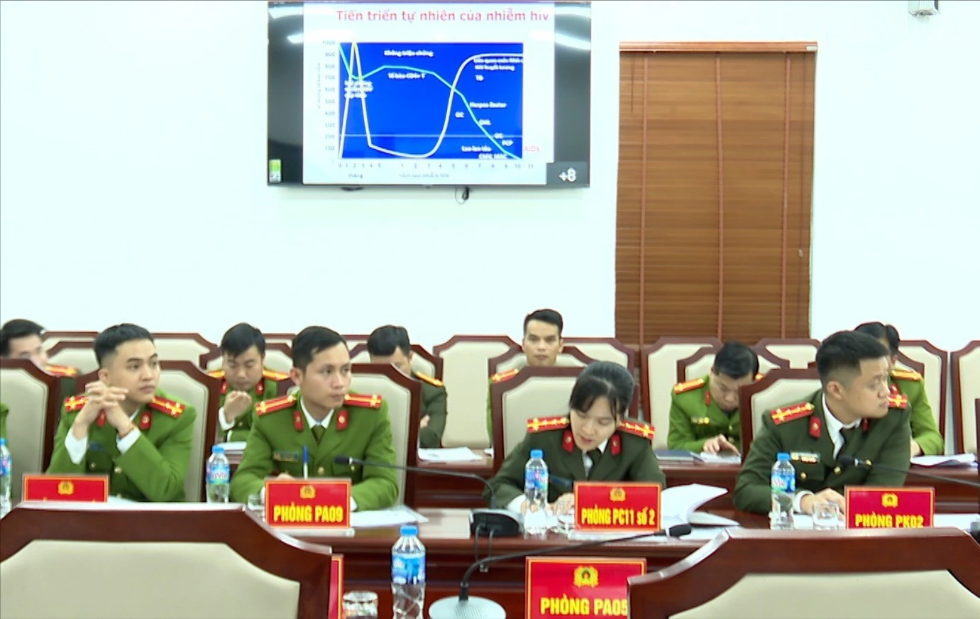 baolaocai-tr_tr-anh2.jpg