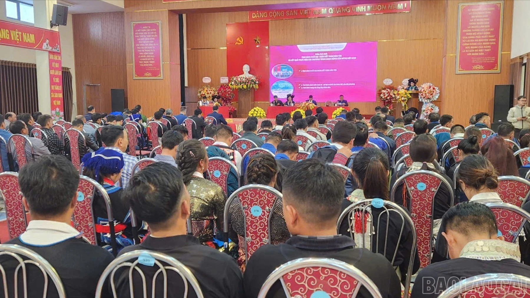 baolaocai-br_quangcanh-5235.jpg