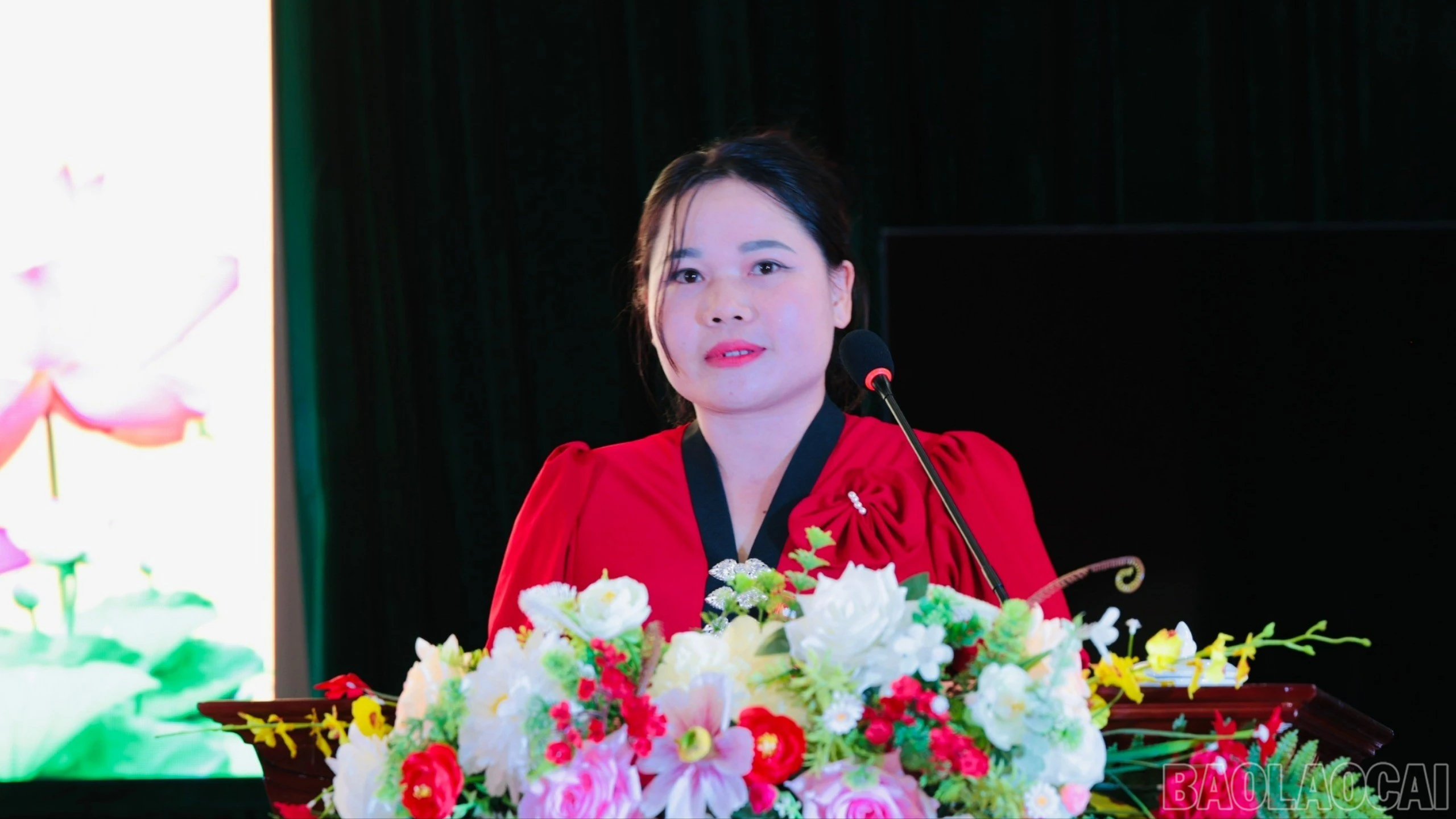 baolaocai-br_thamluan-6181.jpg