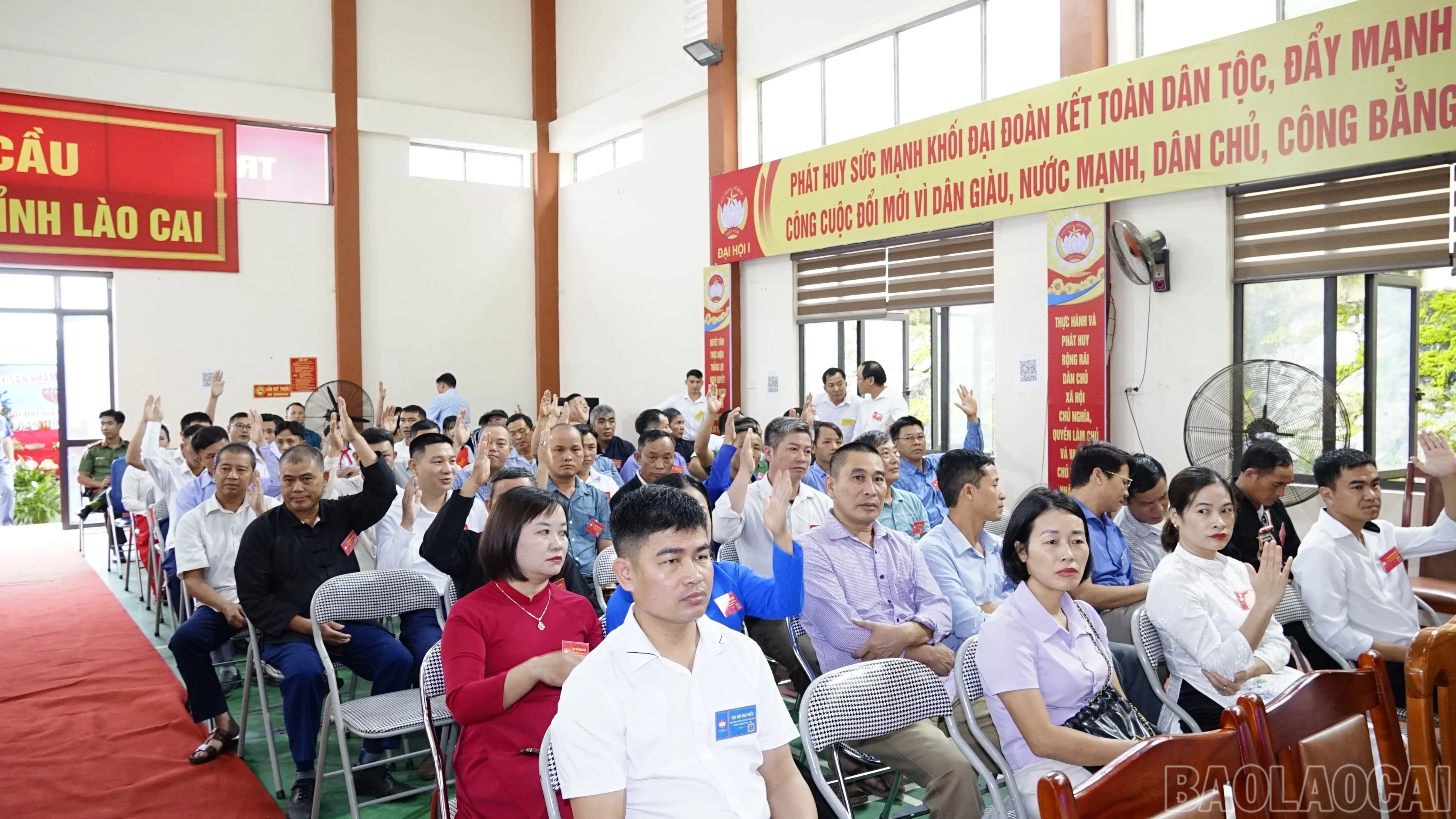baolaocai-br_dsc3094.jpg
