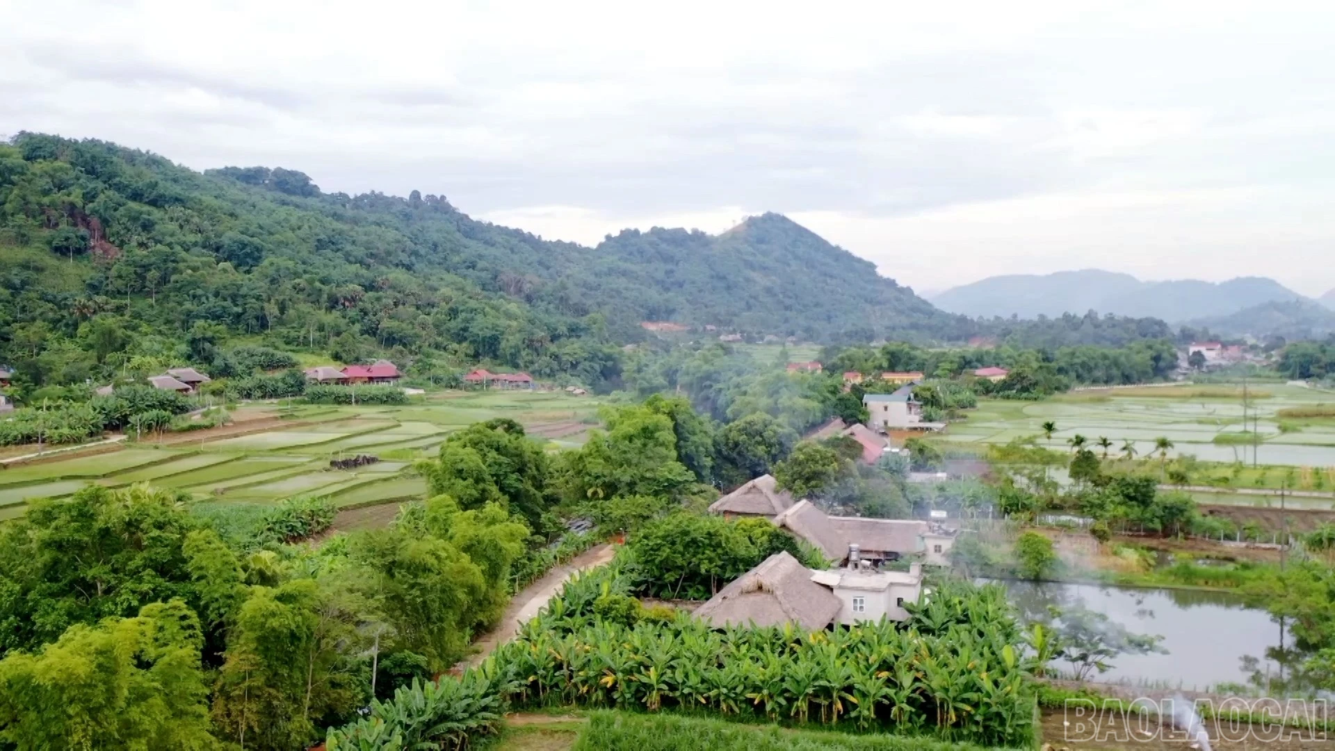baolaocai-br_21.jpg