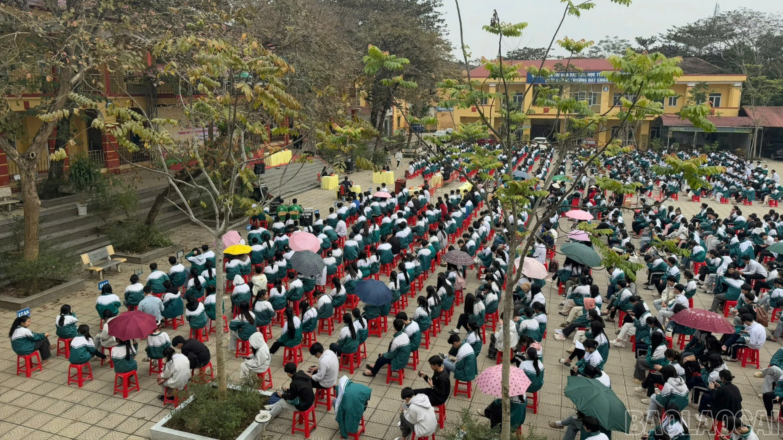 baolaocai-br_gia-dinh.jpg