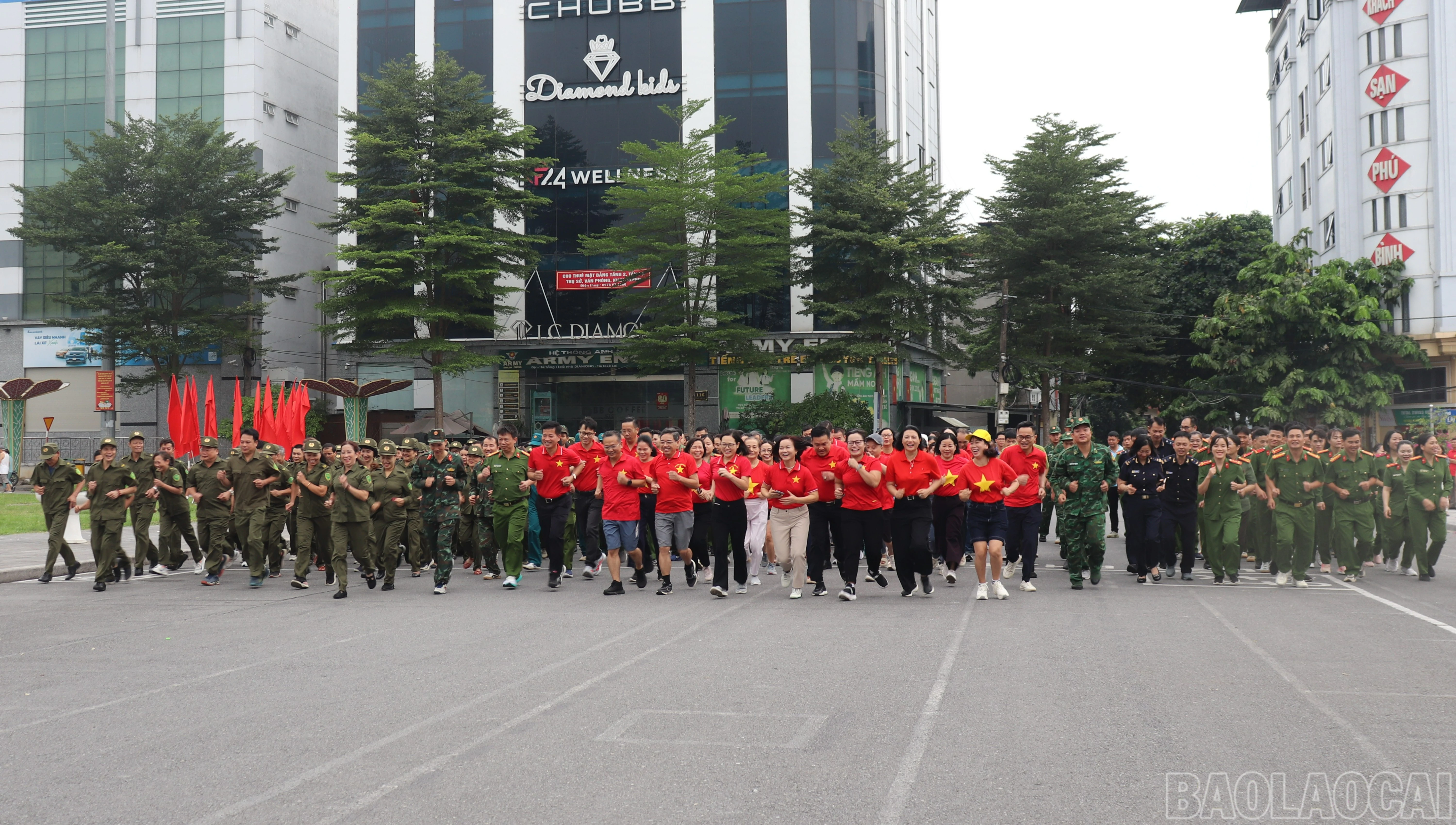 baolaocai-br_3-12-4781.jpg