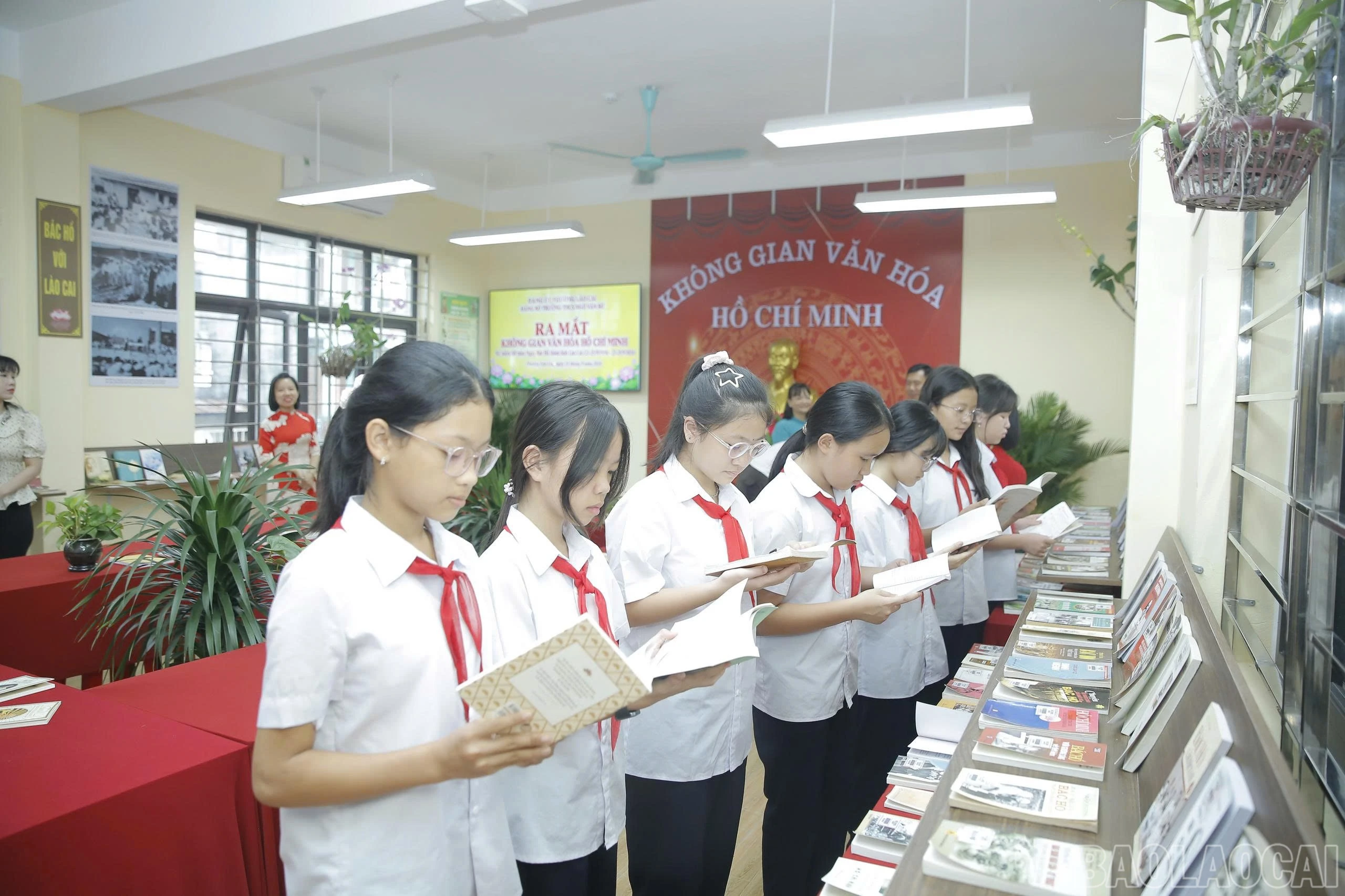 baolaocai-br_1789956641068-1218288131405634485-1218288131405634485-071a5ec551cf98974826c3b15ac81bf9.jpg