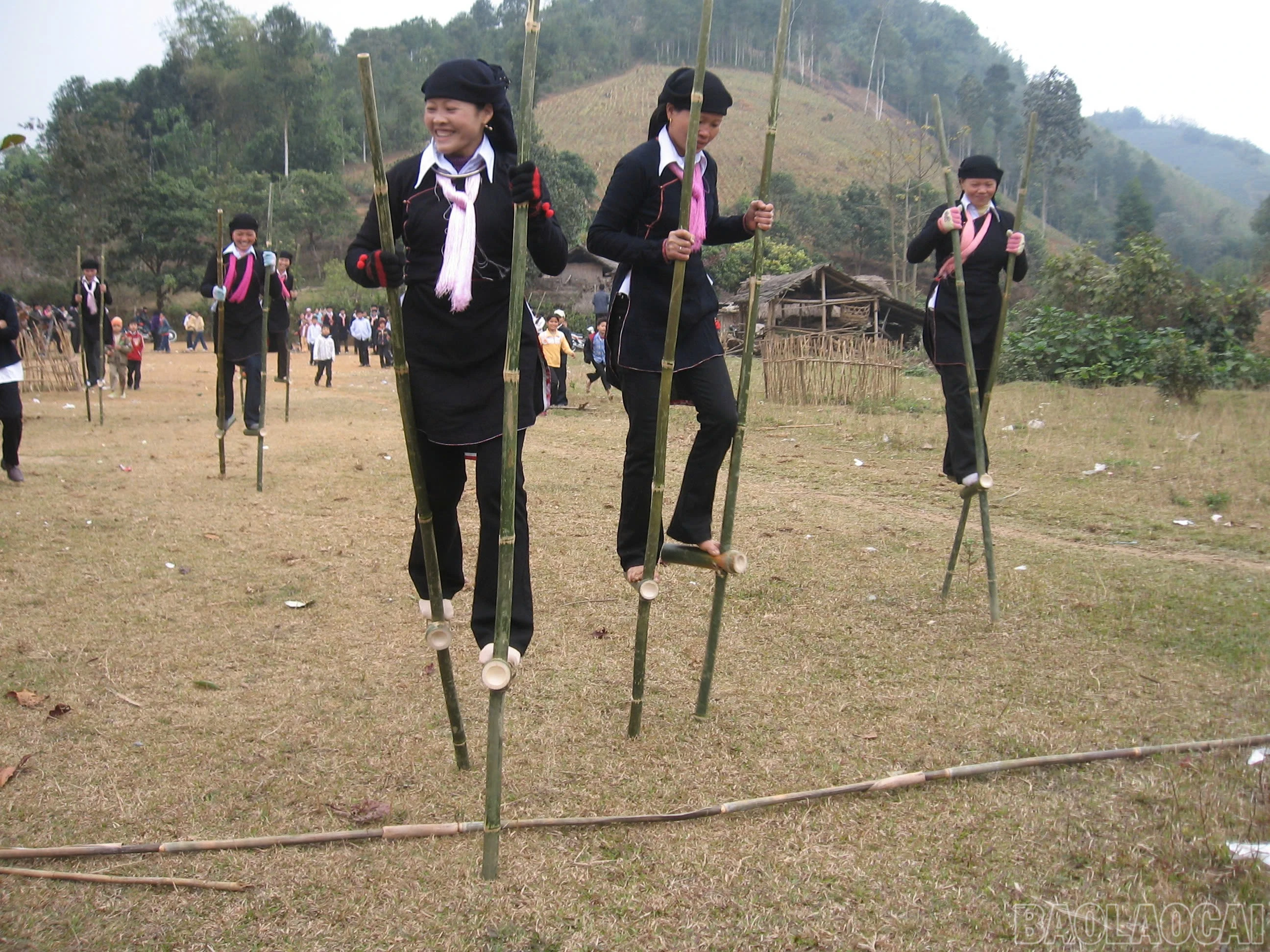 baolaocai-br_z7502870449709-fb38f701fab0c20062cd2d343a953d44.jpg