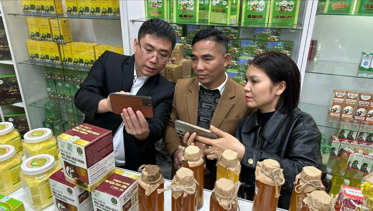 baolaocai-br_tr-z7499172817682-c51b71e2cf53dfadce41822a8dd04f31.jpg