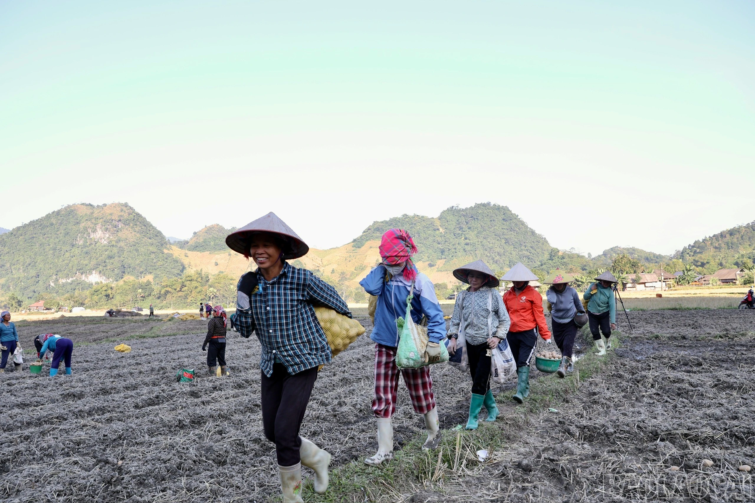 baolaocai-br_nhieu-lao-dong-co-them-thu-nhap-luc-nong-nhan.jpg