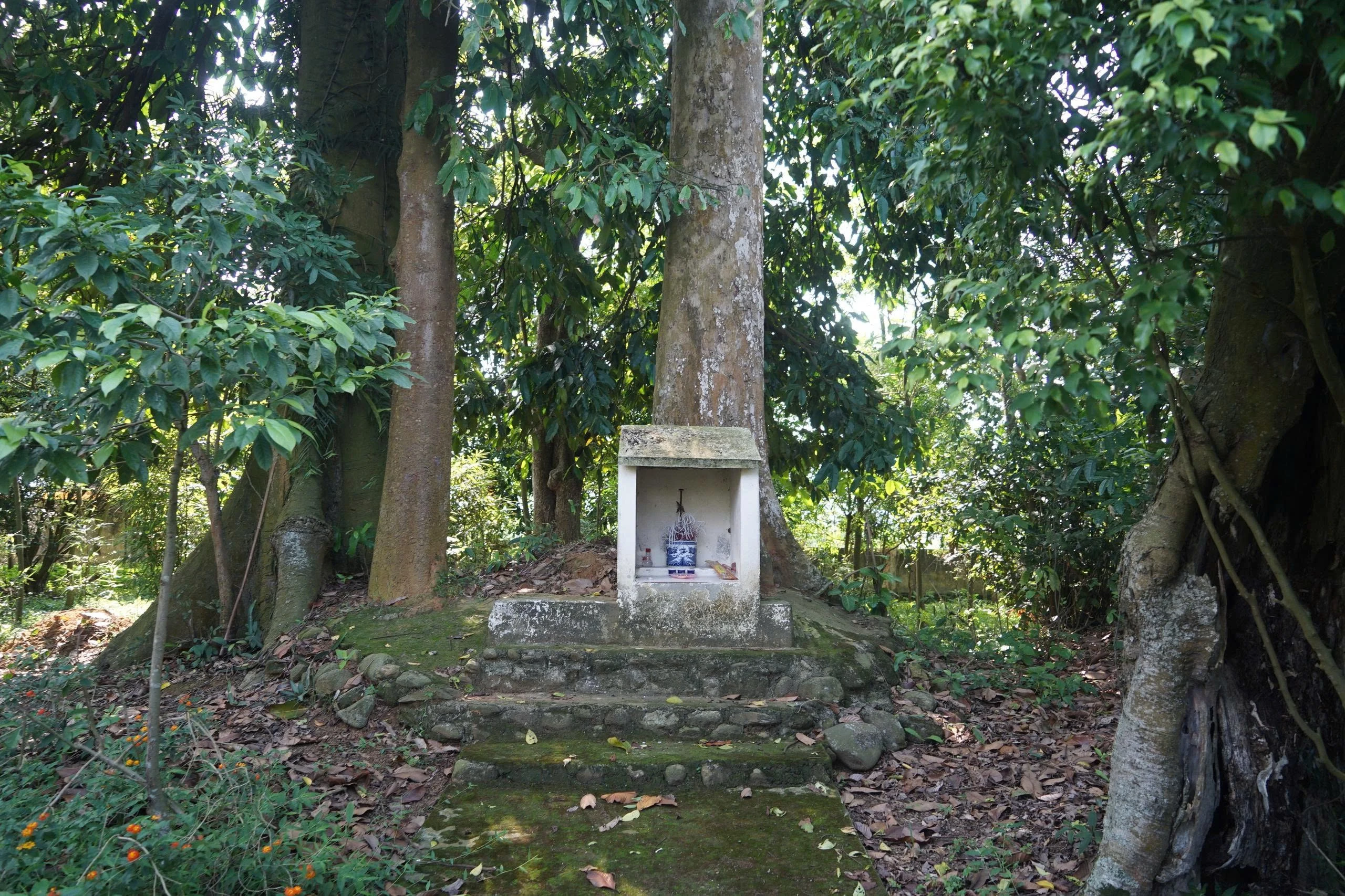 z7988411483226-945c41e03fd5d0d129208c96d2640b64.jpg