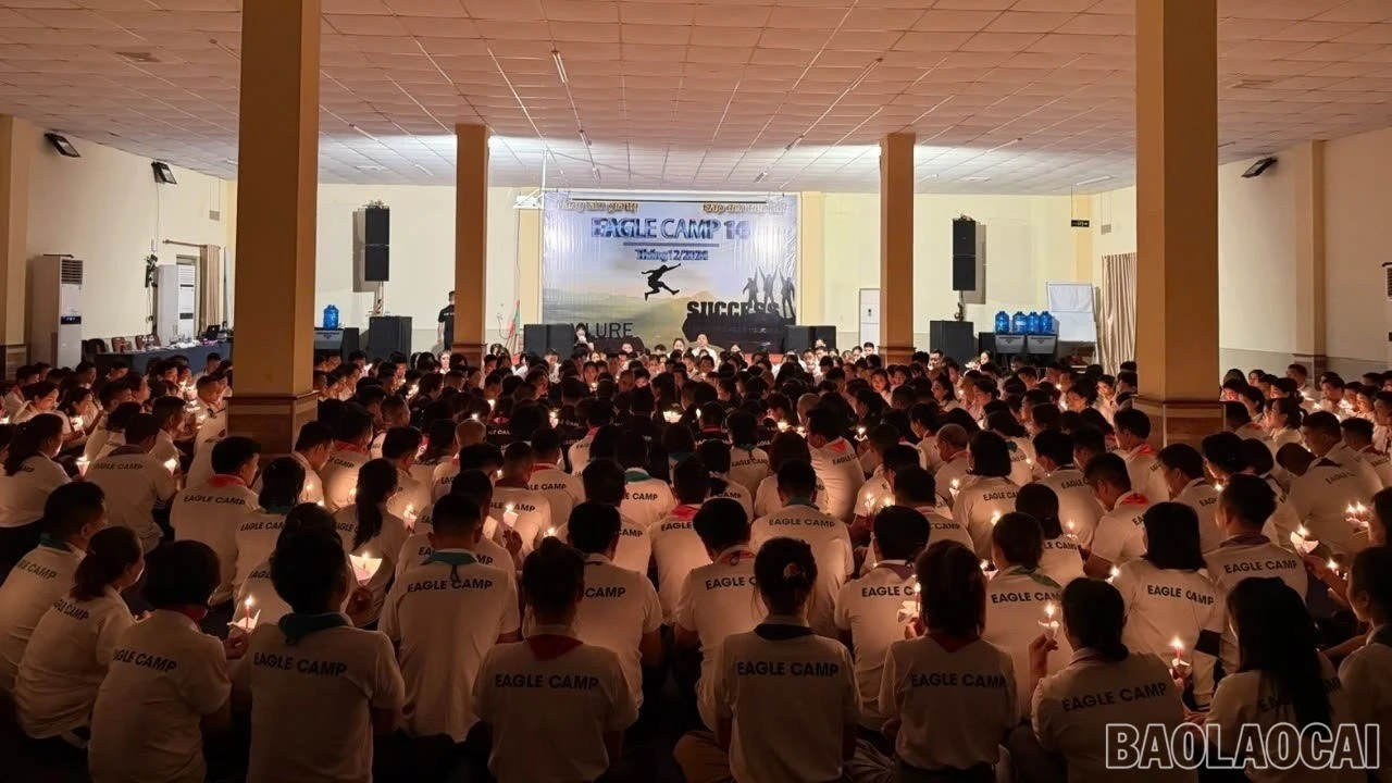 baolaocai-br-hs-1.jpg