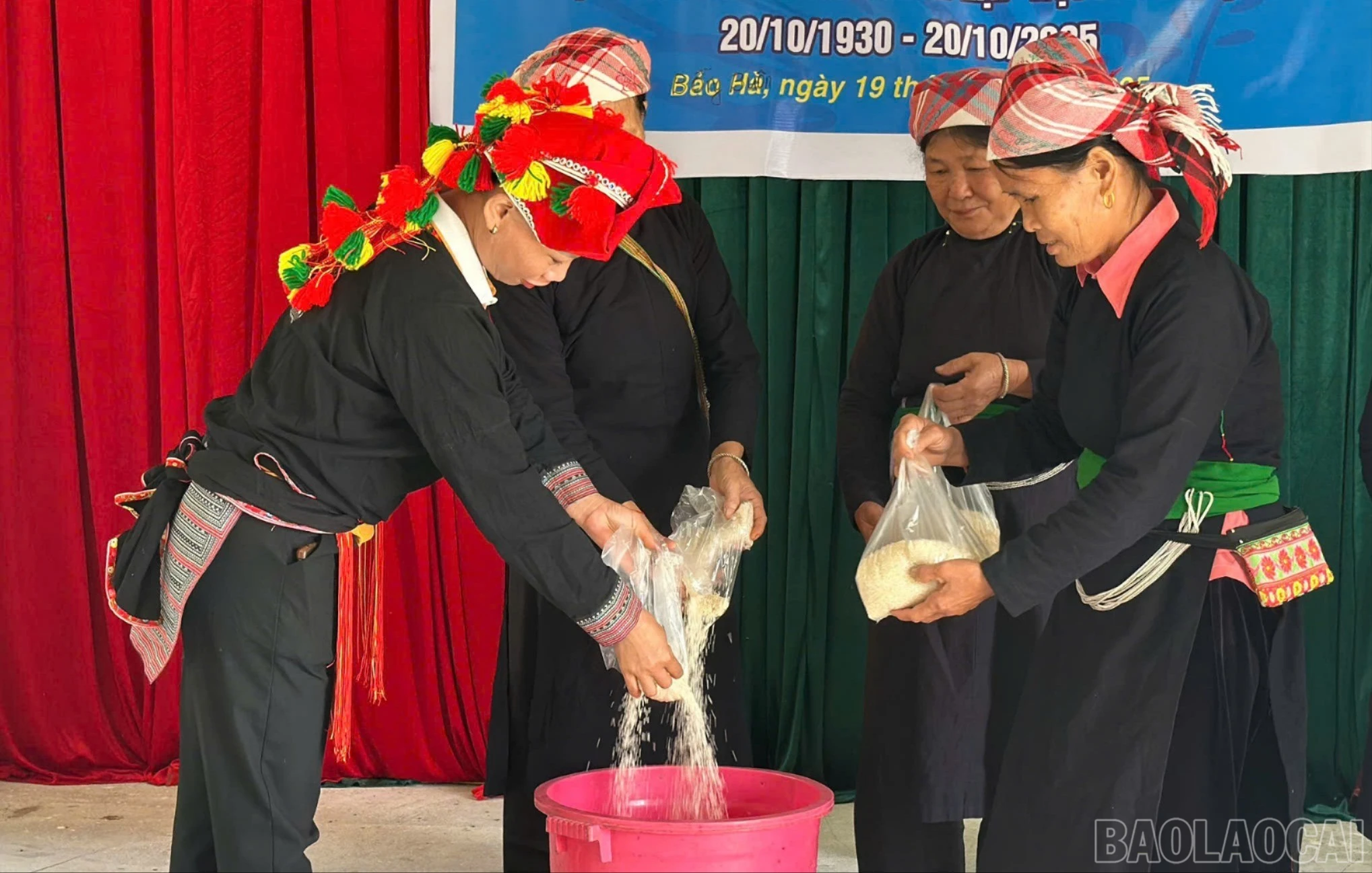 baolaocai-br_z7366686127648-d1b2c161fde81ac0a53478ce96293914.jpg