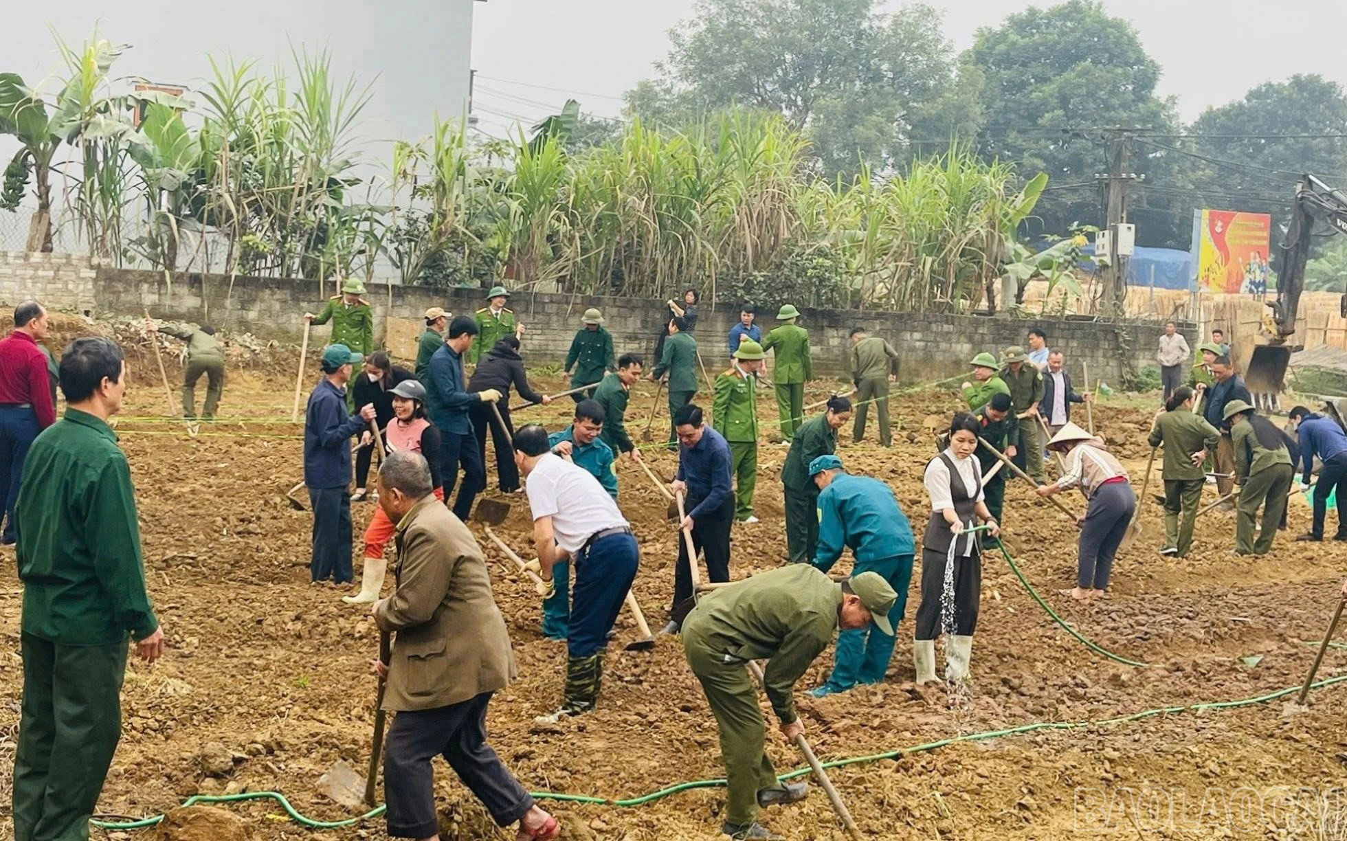 baolaocai-br_z7446330506356-afea66159562e0a0cdb13150cfd518dc.jpg