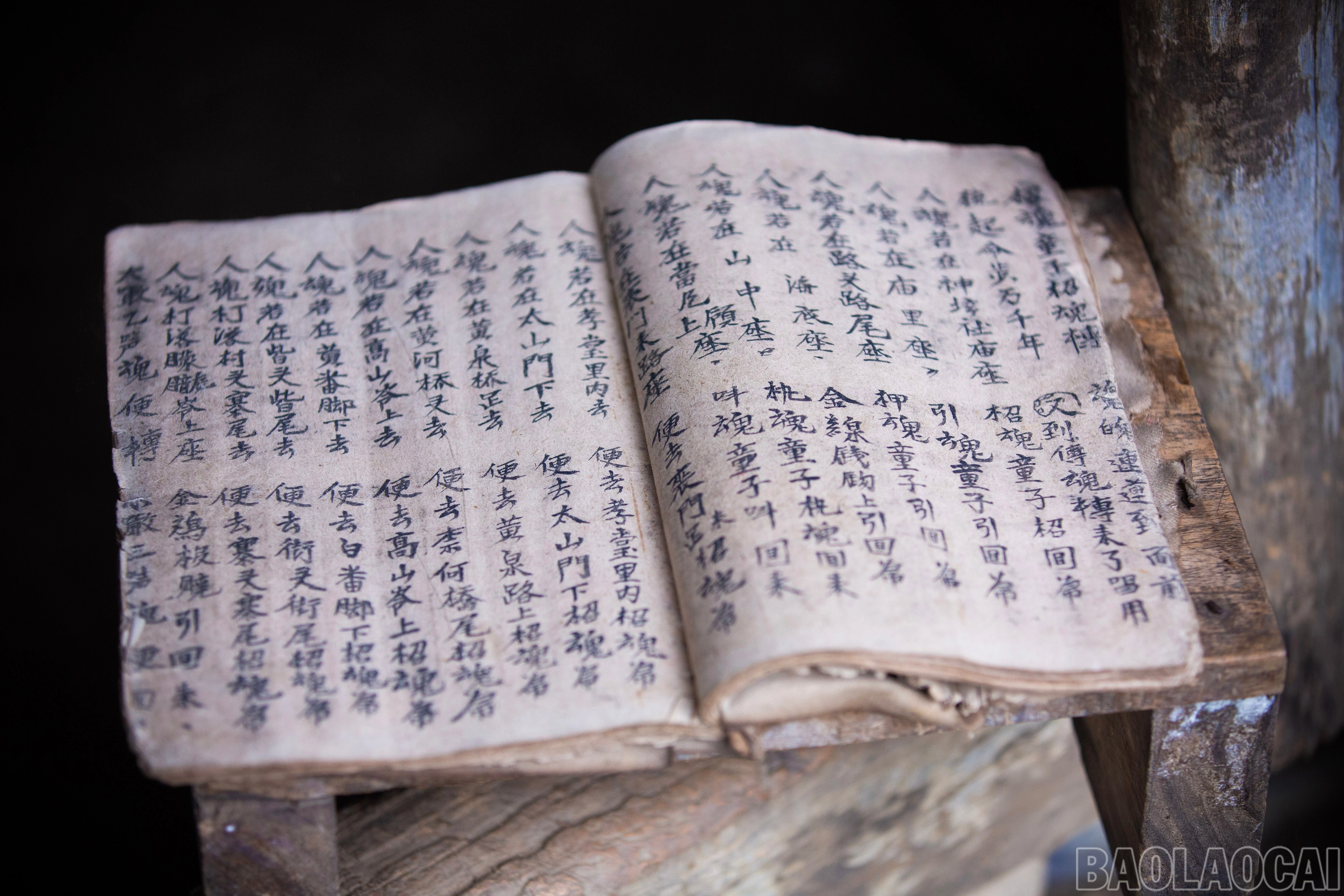 baolaocai-br_11-copy.jpg