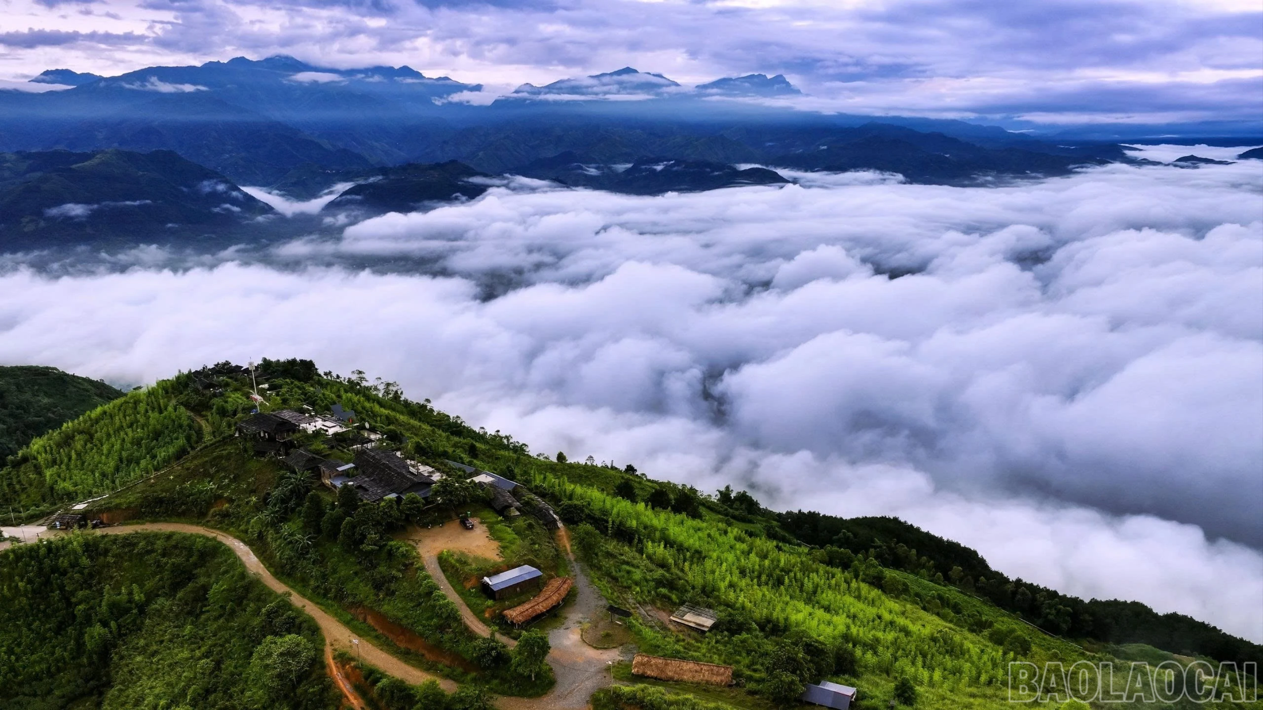 baolaocai-br-gen-h-z7167728609079-f03e95ee91808028b67d88cc75285569.jpg