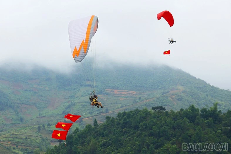 baolaocai-br_mien-9.jpg