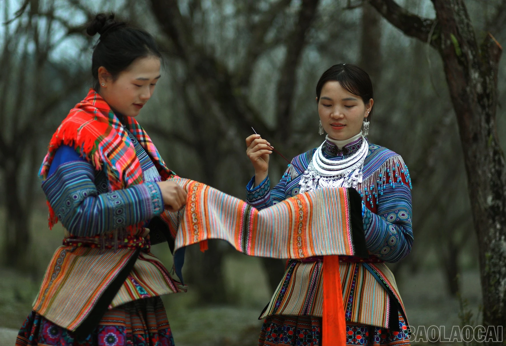 baolaocai-br_0u8a55044.jpg