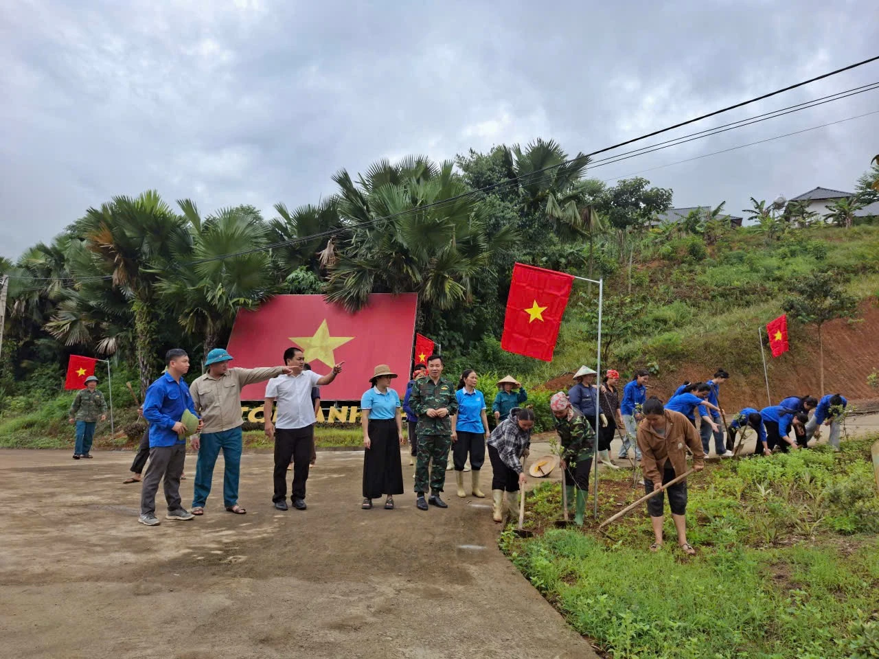 duong-co-to-quoc.jpg