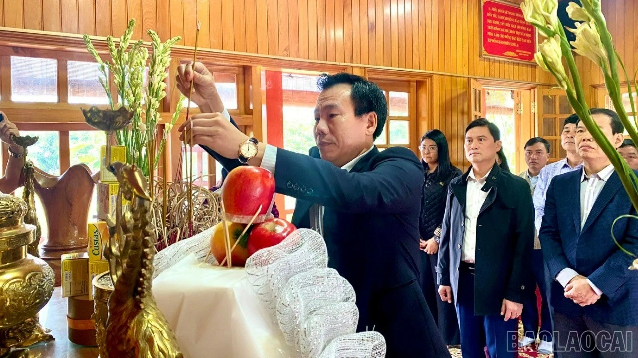 baolaocai-br_z7185135254334-362caabe032e1c98c8a13ef10110520a.jpg