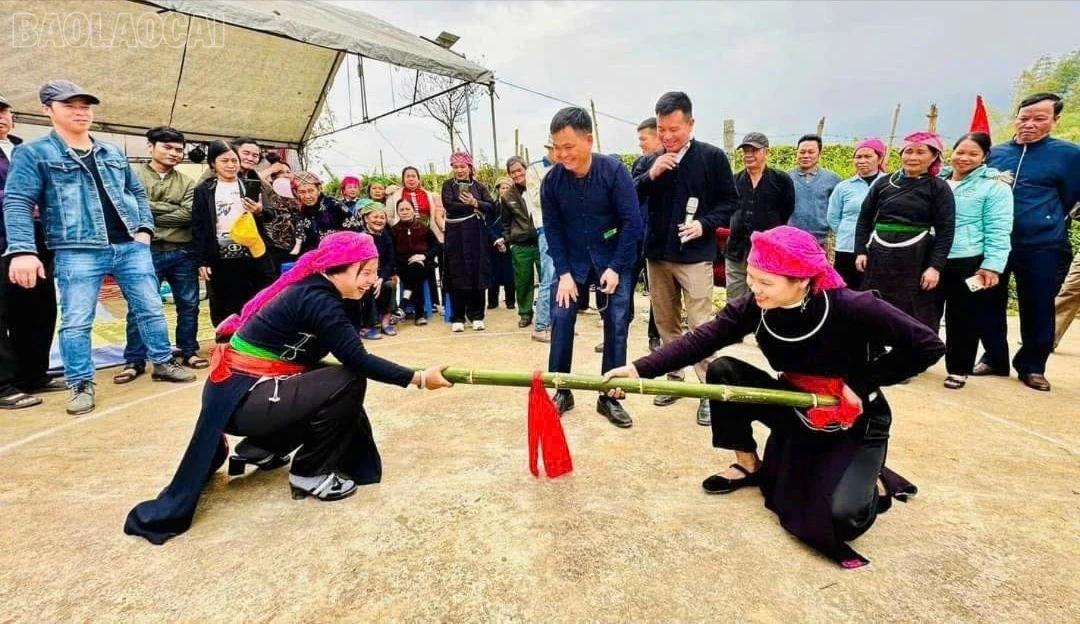 baolaocai-tl_tl-z7535574441430-4657817994ca5ddb16e93db606c3d2c3.jpg