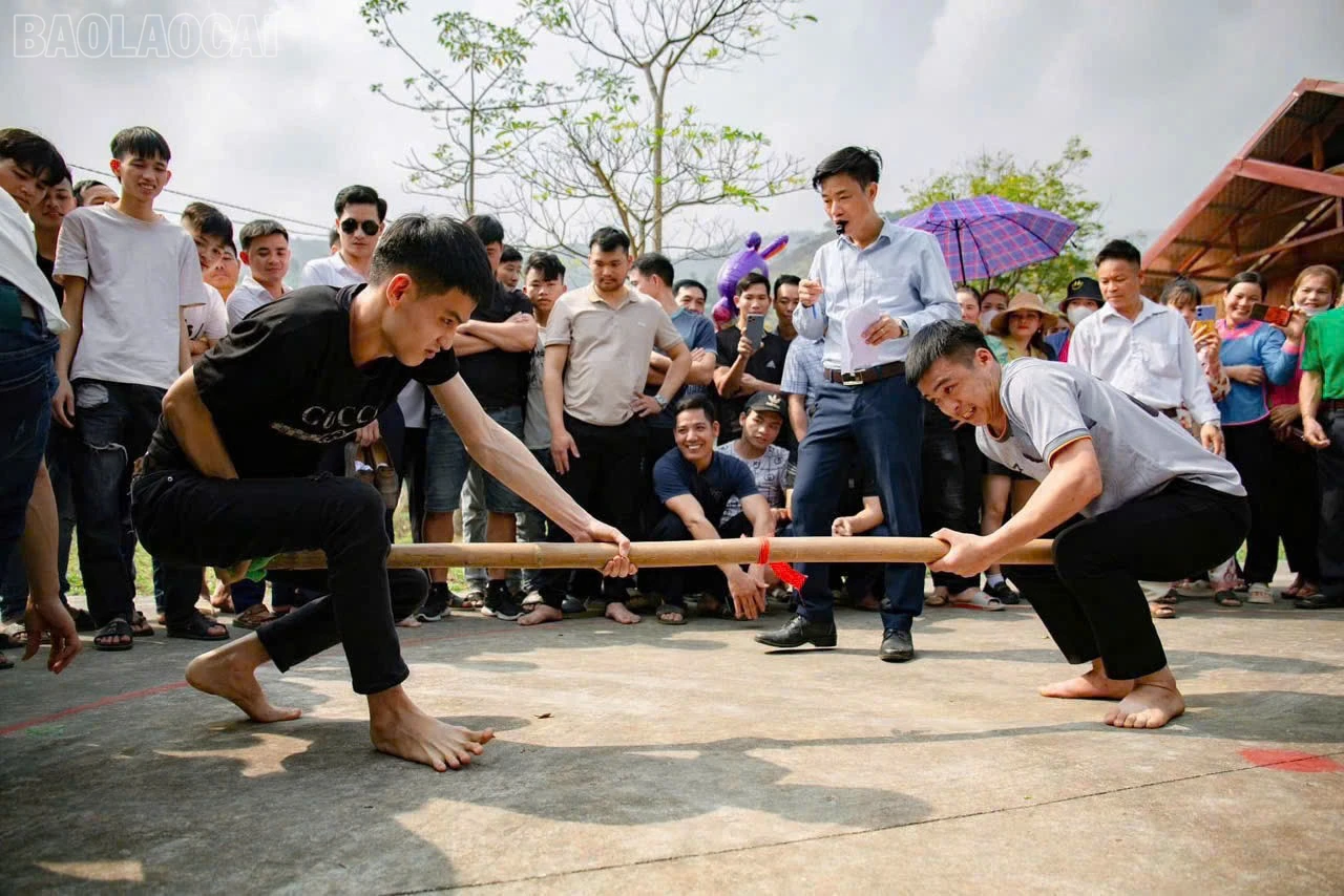 baolaocai-tl_z7535574434944-03ff37d3aa59833c903f1c4ed0010e49.jpg