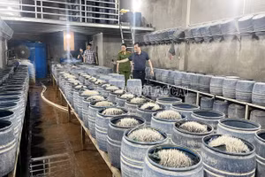 Công an tỉnh Lào Cai triệt phá 2 cơ sở dùng hóa chất độc hại làm giá đỗ bán ra thị trường