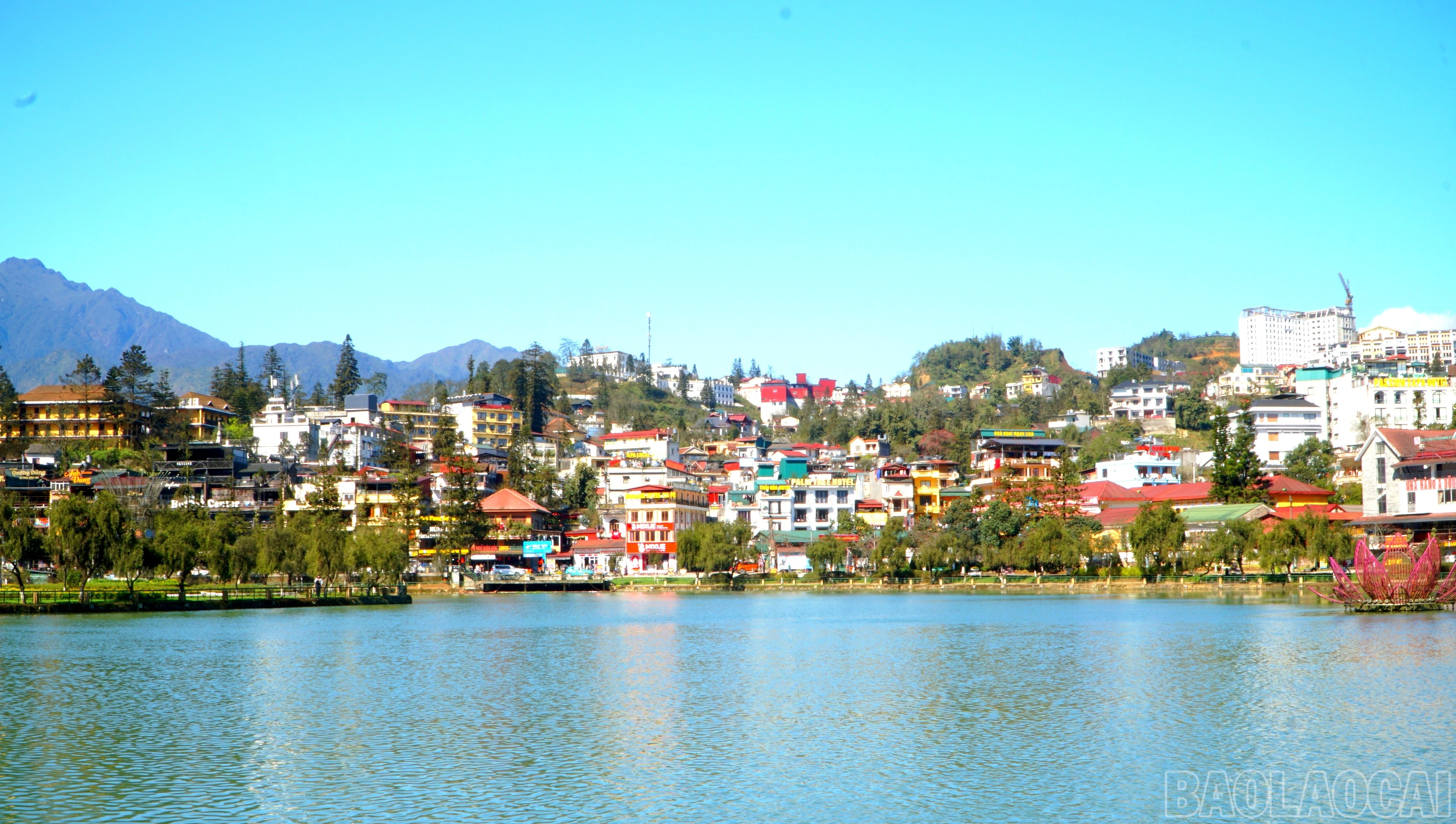 baolaocai-br_img-20250227-163500.jpg